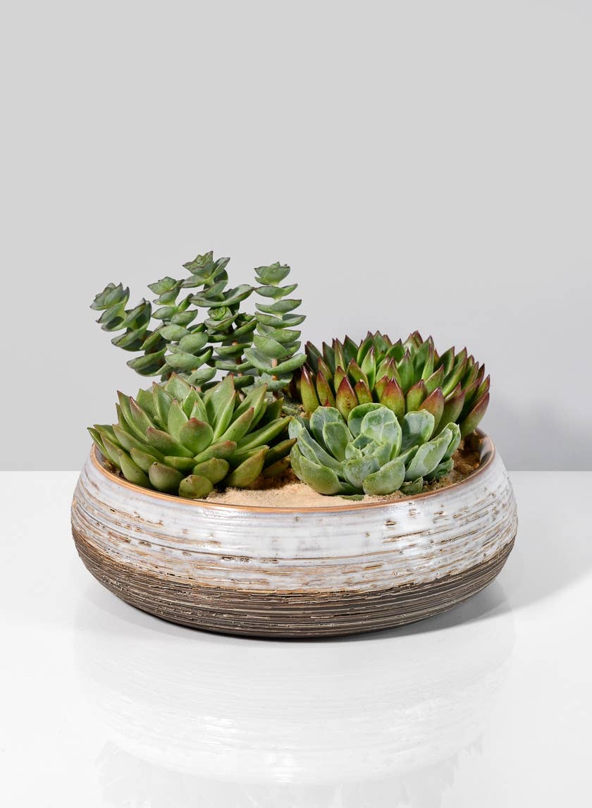 10in Breve Ceramic Bowl - Image 2