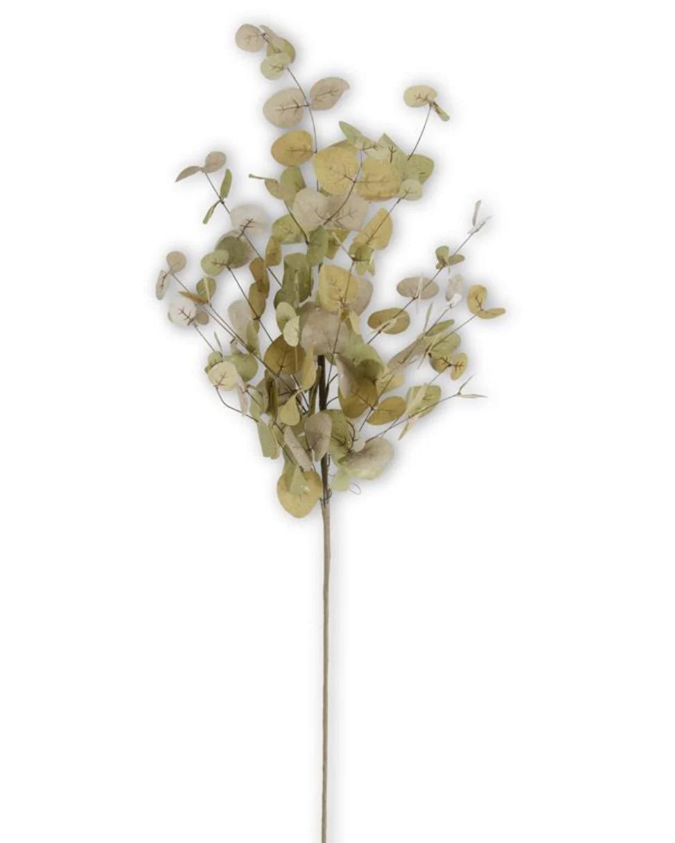 36 Inch Green Two-Tone Eucalyptus Stem