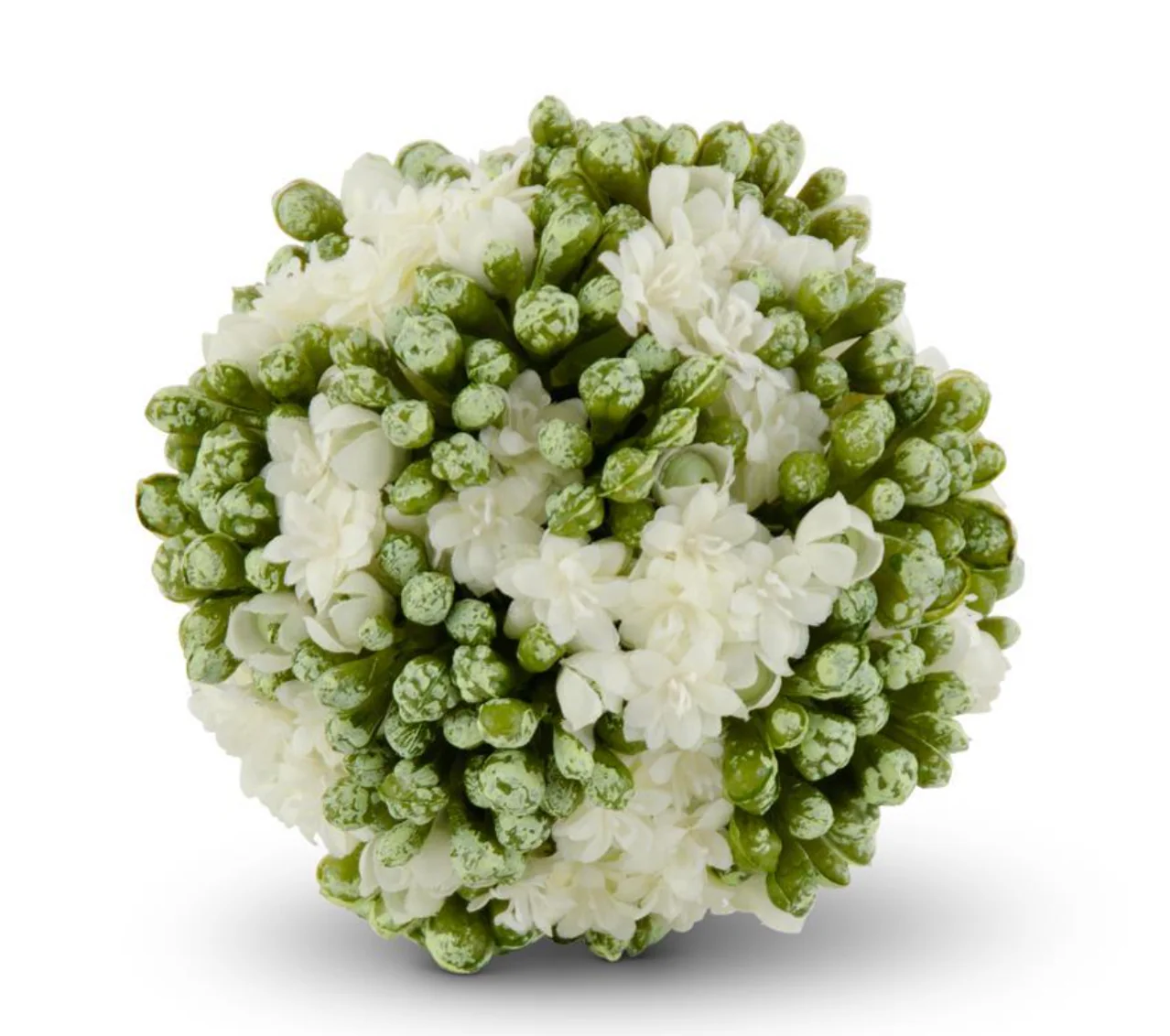 4 In White Kalanchoe Ball