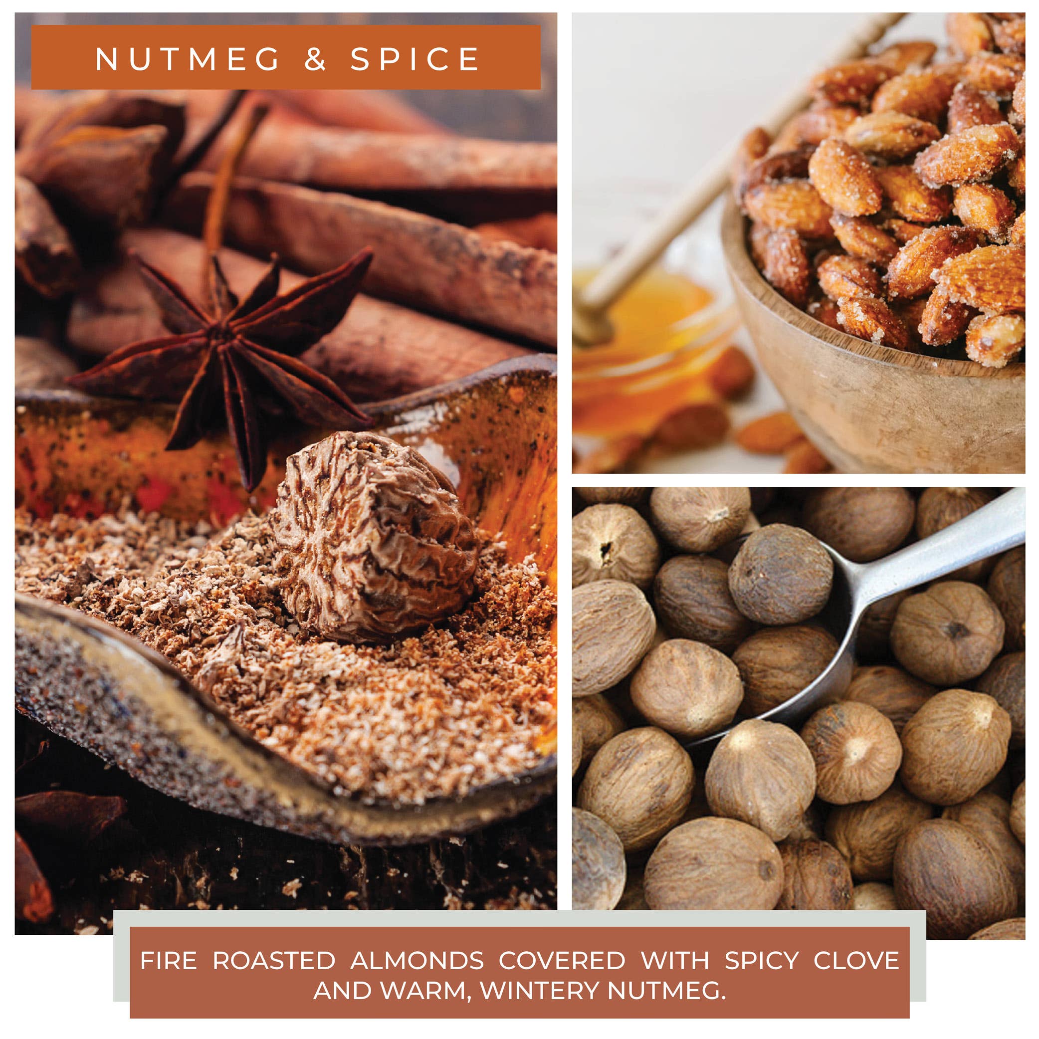 Nutmeg & Spice Candle (22oz.) - Image 3