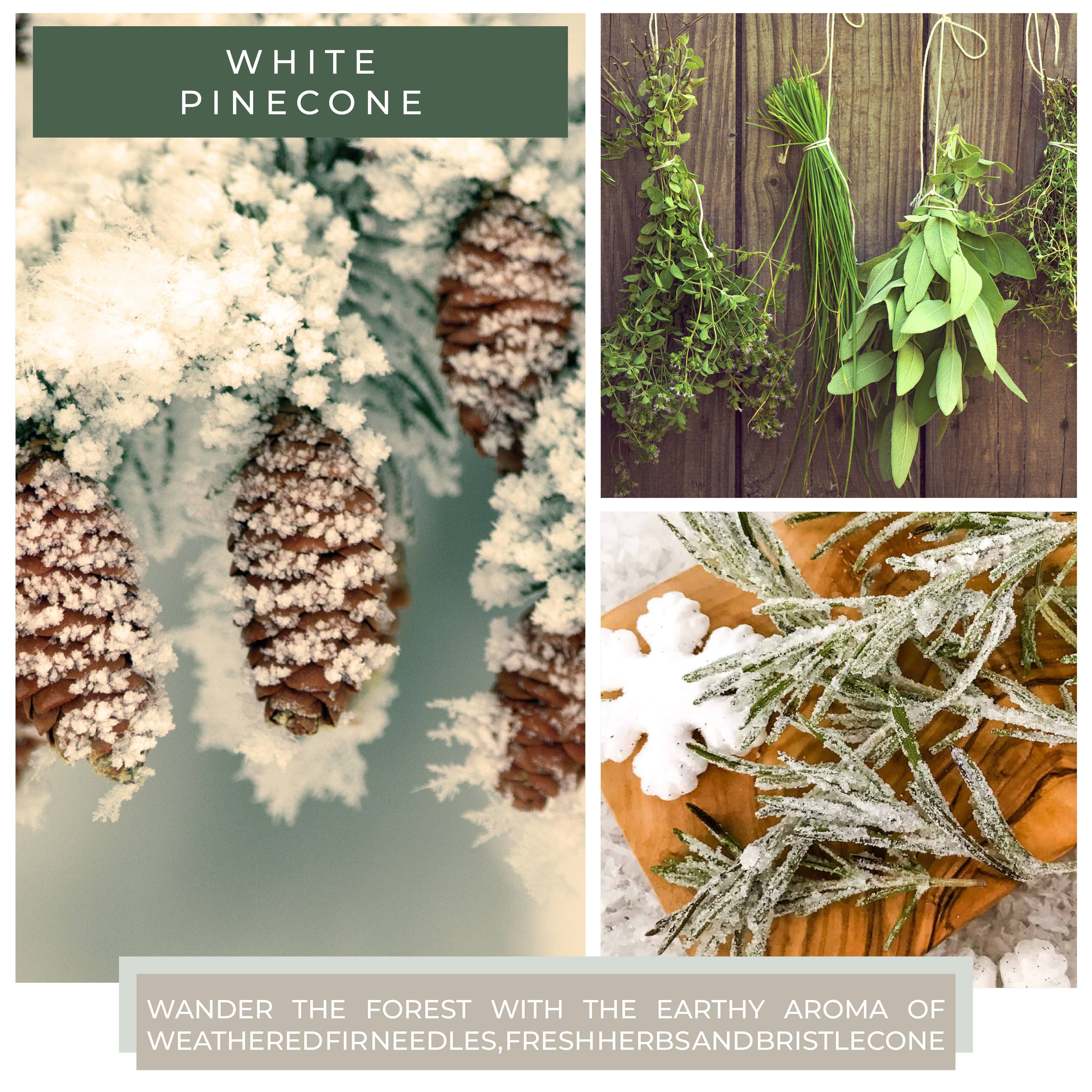 A Cheerful Giver - KOTL Papa Candle (34oz.) - White Pinecone - Image 3
