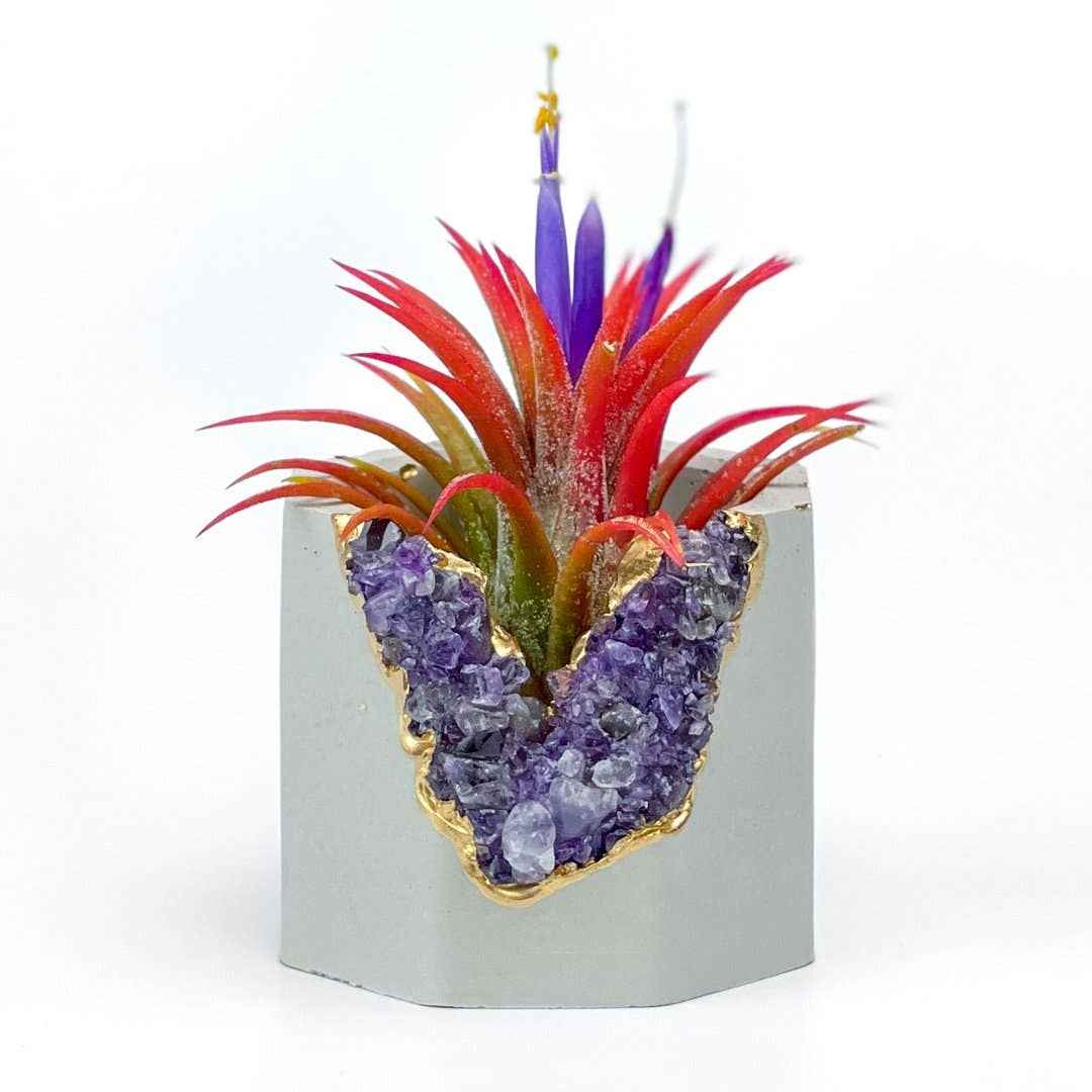 Amethyst Geode Planter, Concrete - Image 2