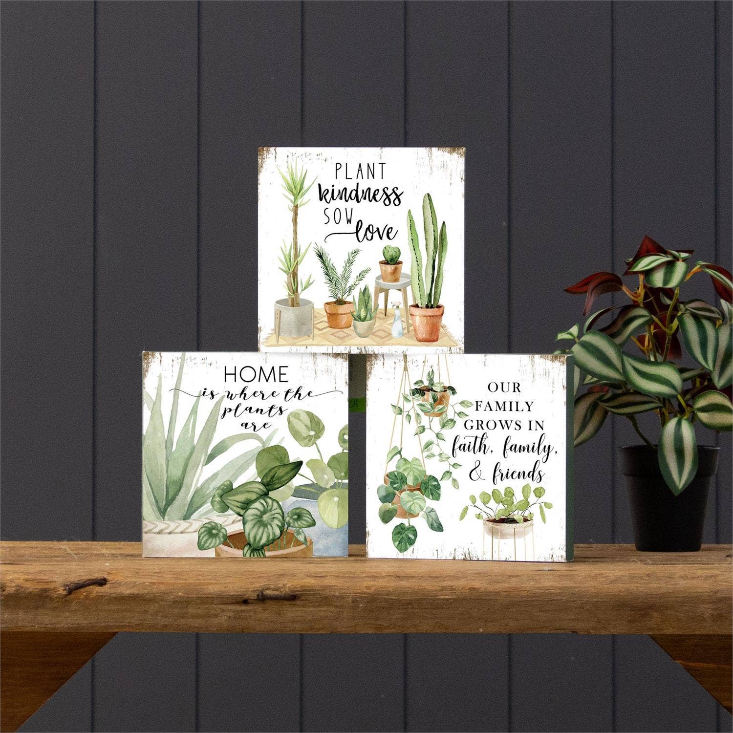 Block Signs Plant Sayings - Sold Separately - Image 2