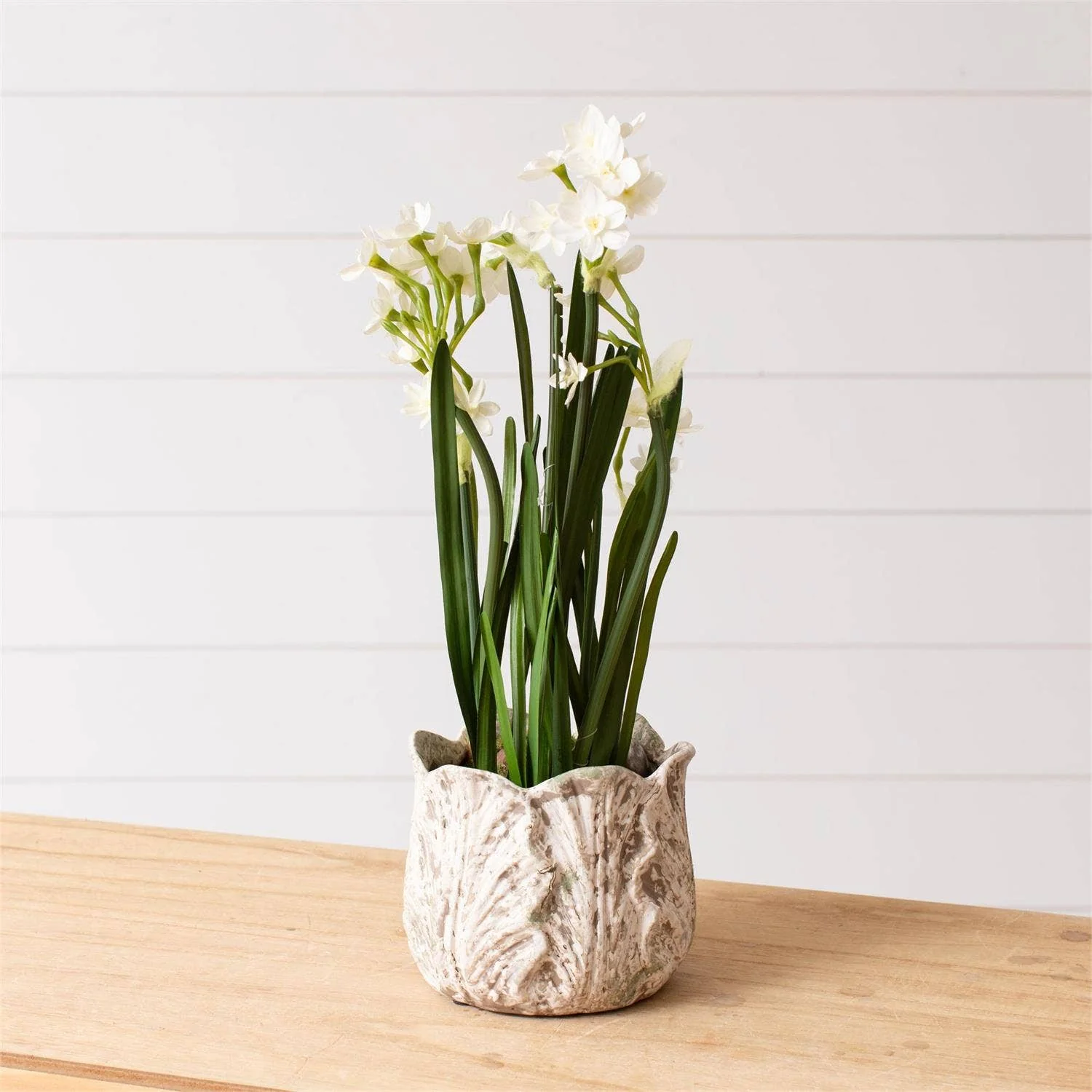 Distressed White Leaf Planter