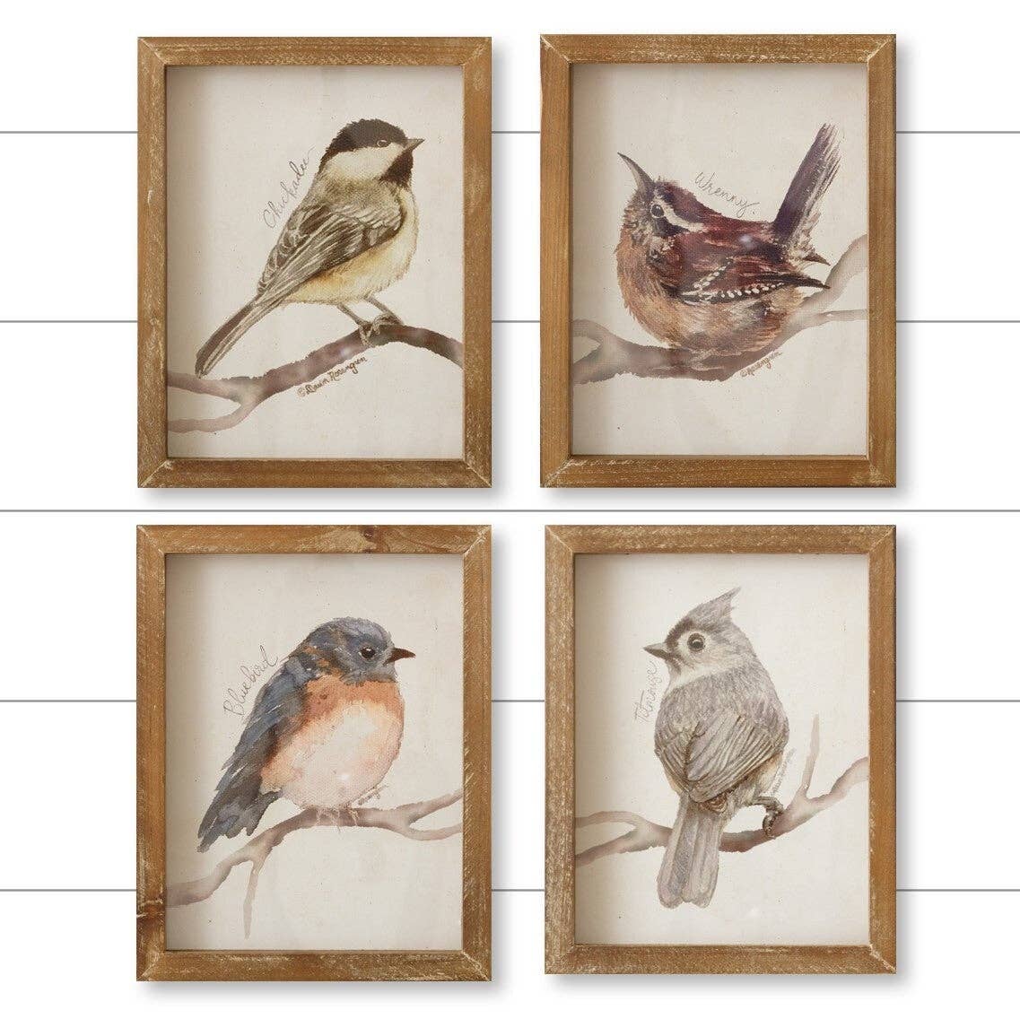 Framed Print - Birds