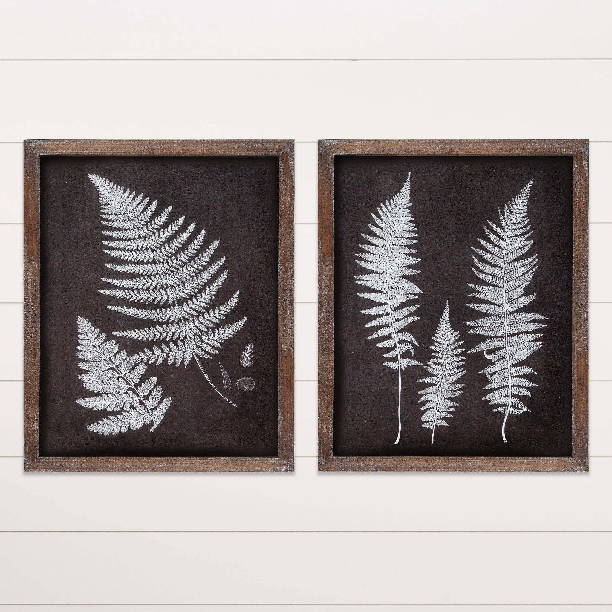 Framed Print - Birds - Image 3