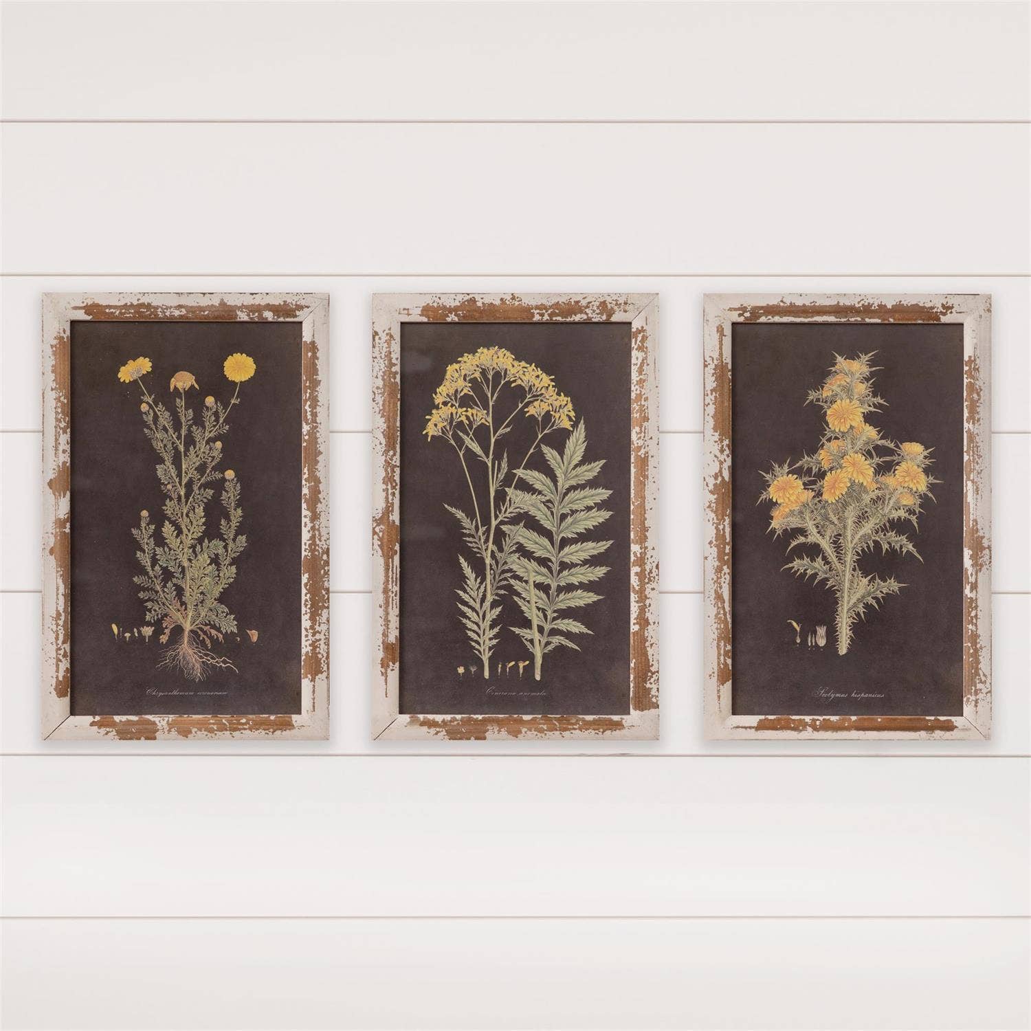 Wart -art Yellow Flowers