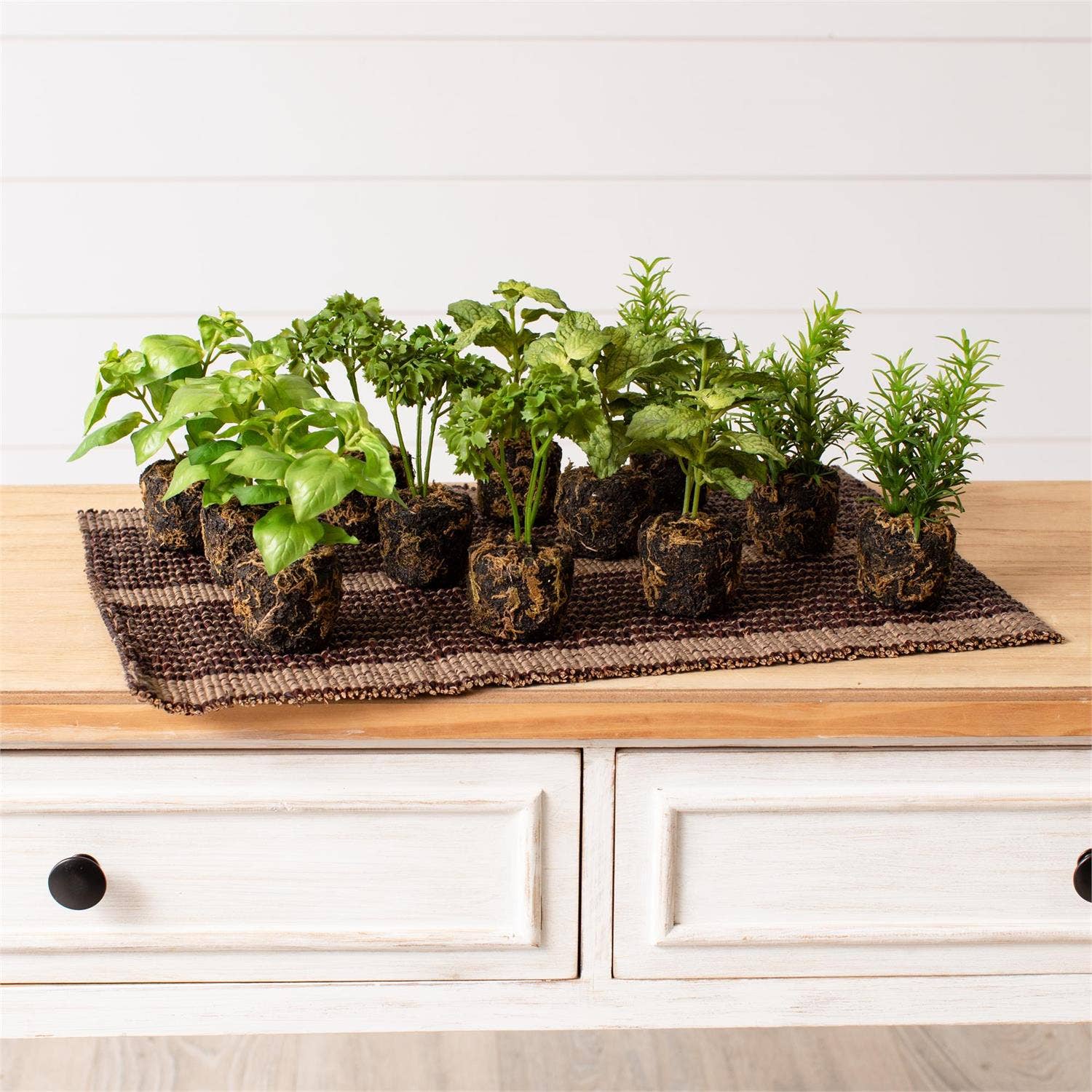Herbs In Soil Unpotted Sold Separately - Image 2