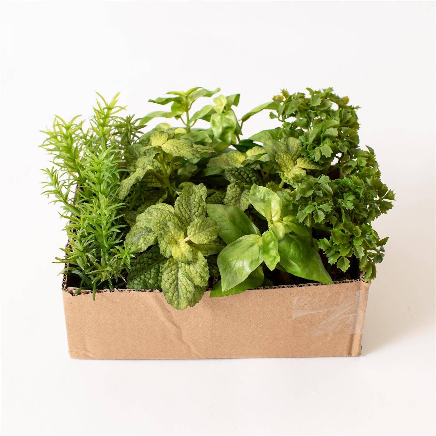 Herbs In Soil Unpotted Sold Separately - Image 4