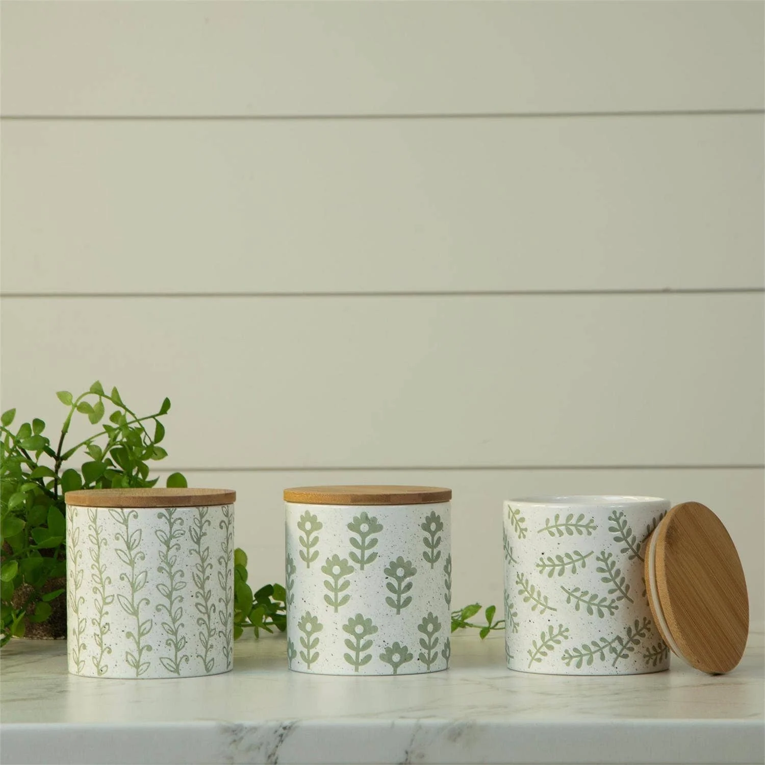 Leafy Green Dolomite Canisters -assorted-sold seperately