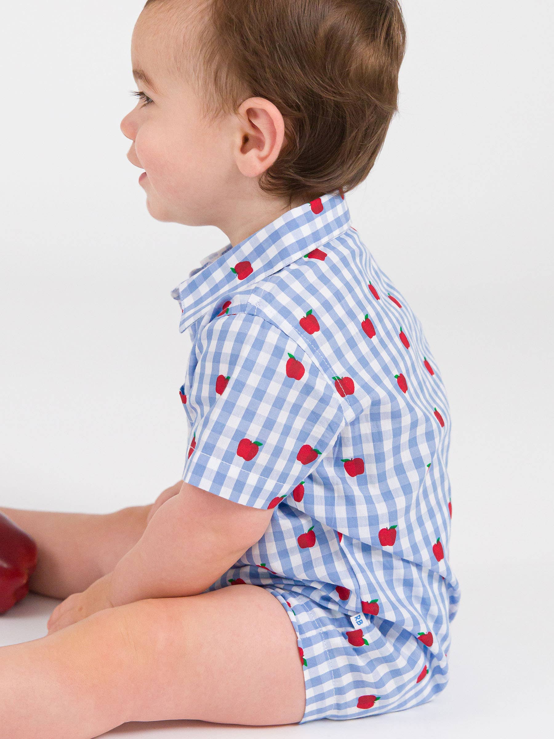 Baby Boys Apple Orchard Classic Gingham Button-Up Romper - Image 7