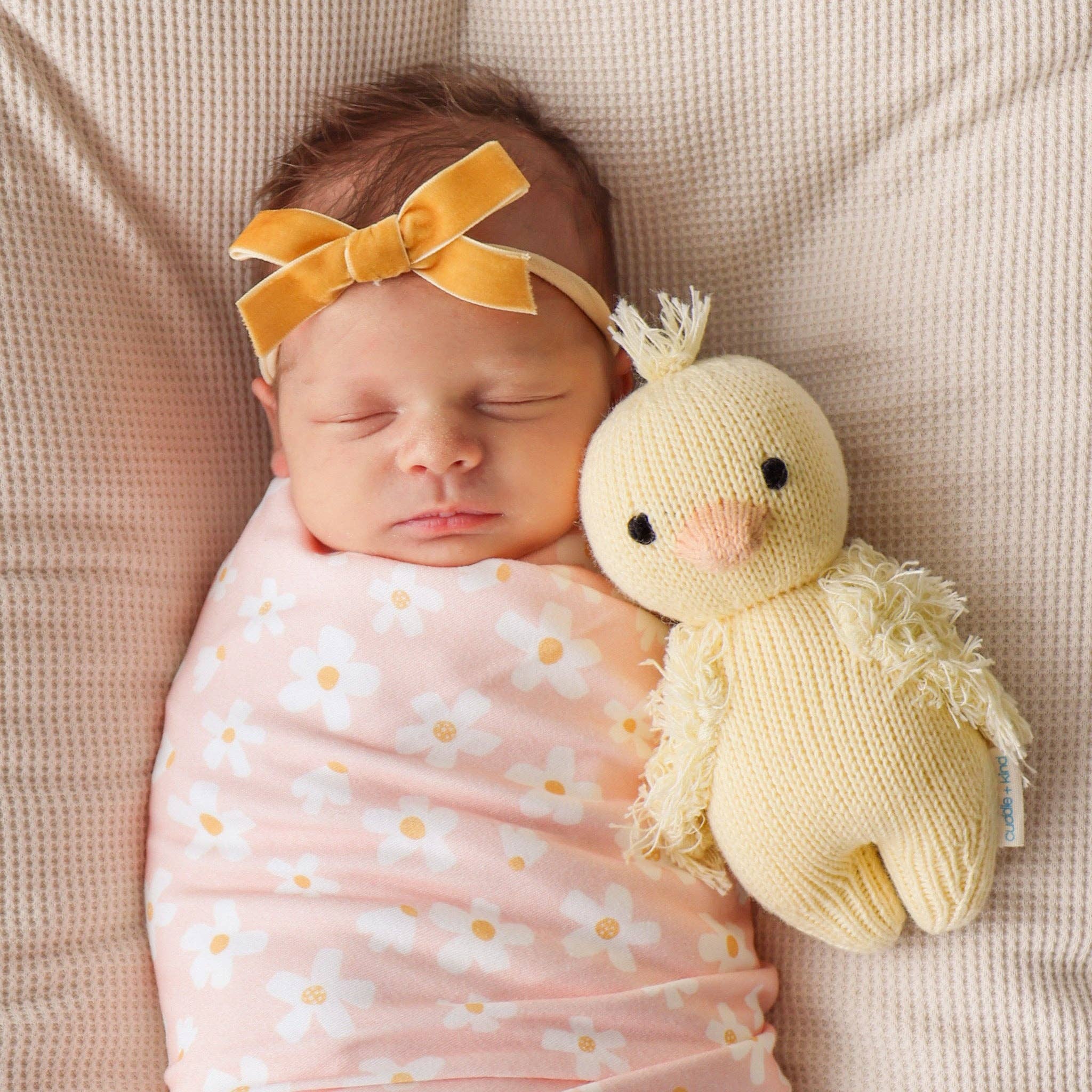 Baby duckling - 5 Meals - Image 6