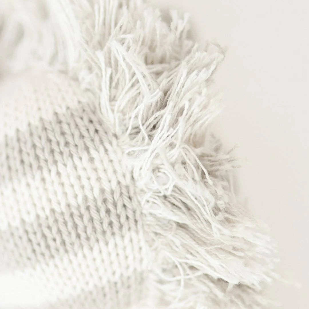 Baby zebra - Image 3