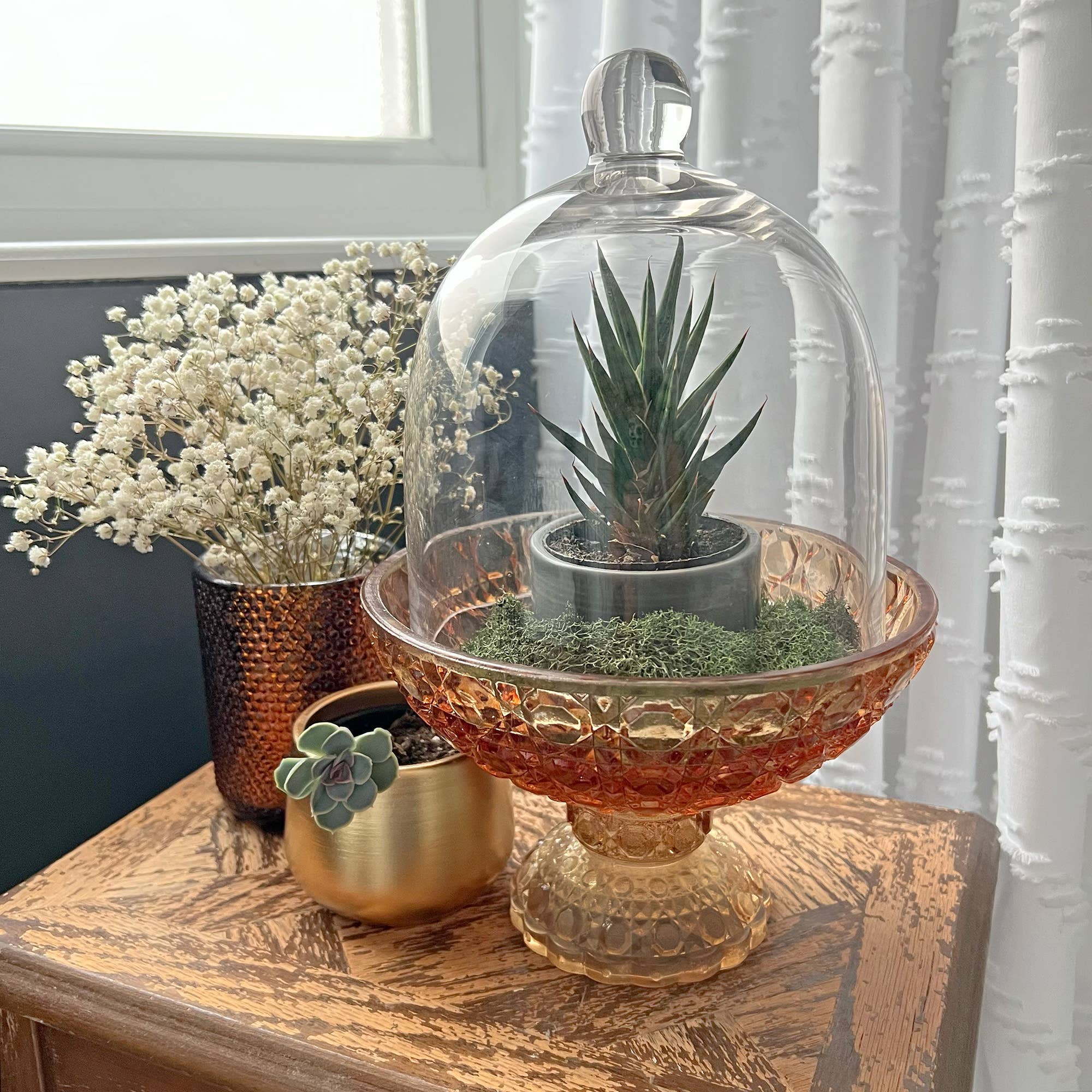 Bell Jar Glass Display Dome Cloche  6" x 7" - Image 3