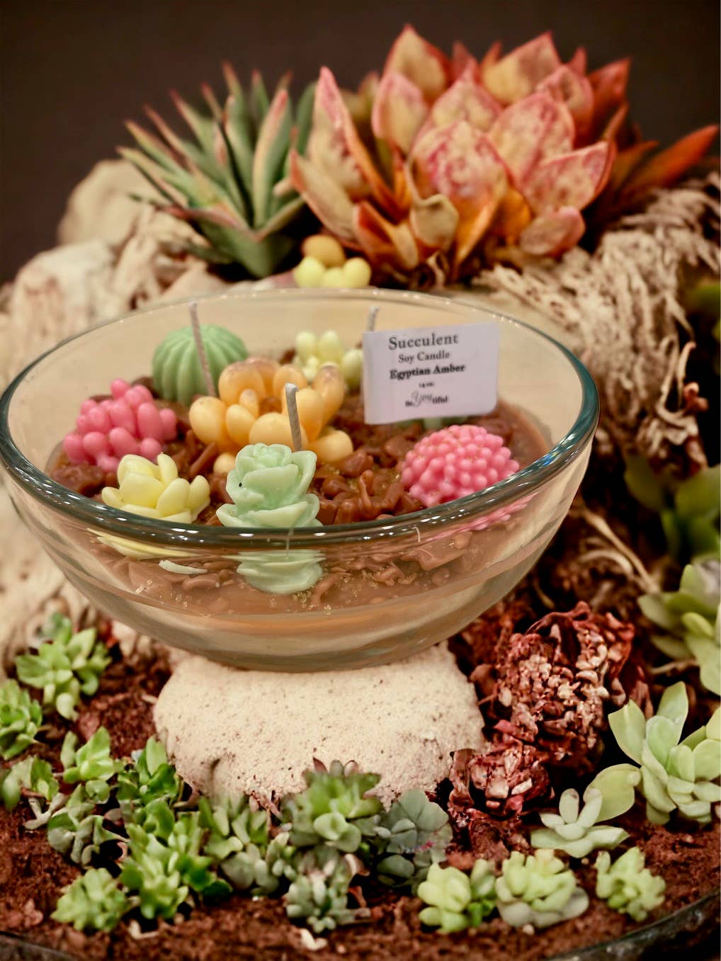 Succulent Candles - Image 2