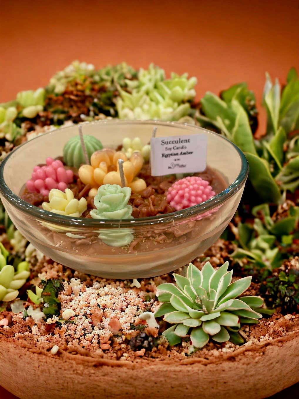 Succulent Candles - Image 3