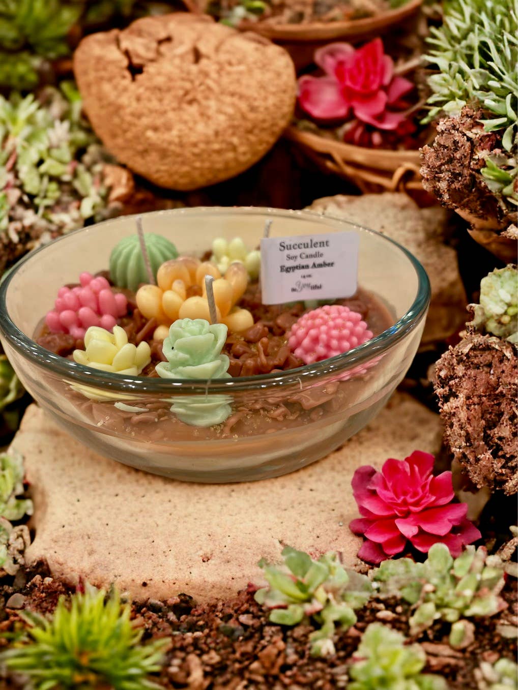 Succulent Candles - Image 4