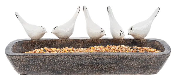 Bird Feeder