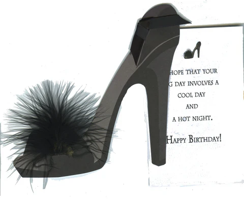 Black Shoe with Feather Greeting card