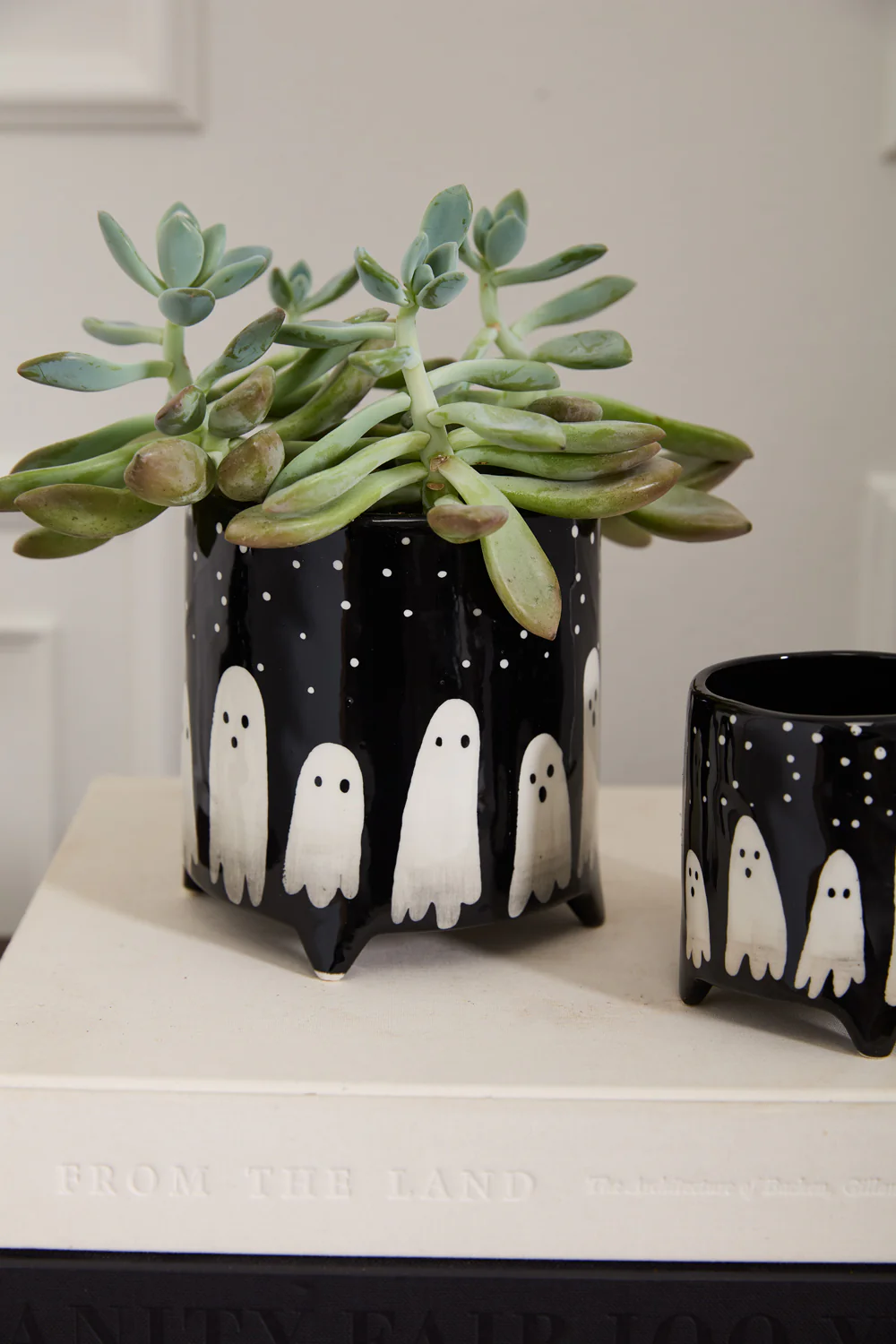 Boo Pot