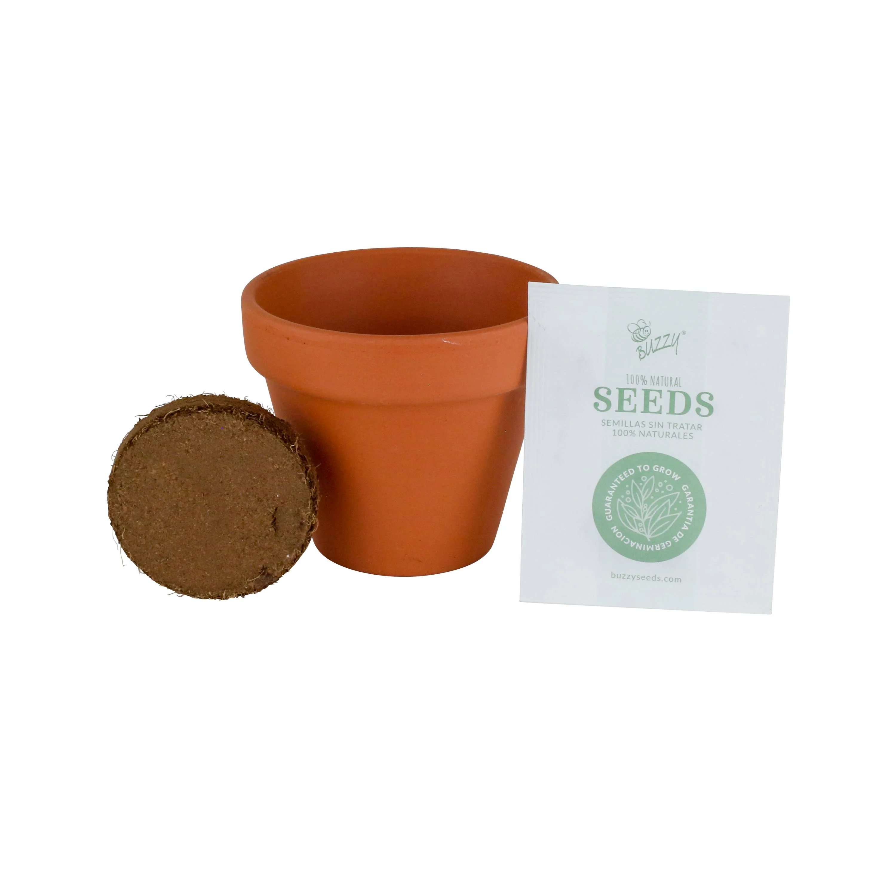 Buzzy Seeds Classic (7cm) Terra Cotta Grow Kit - Cactus - Image 2
