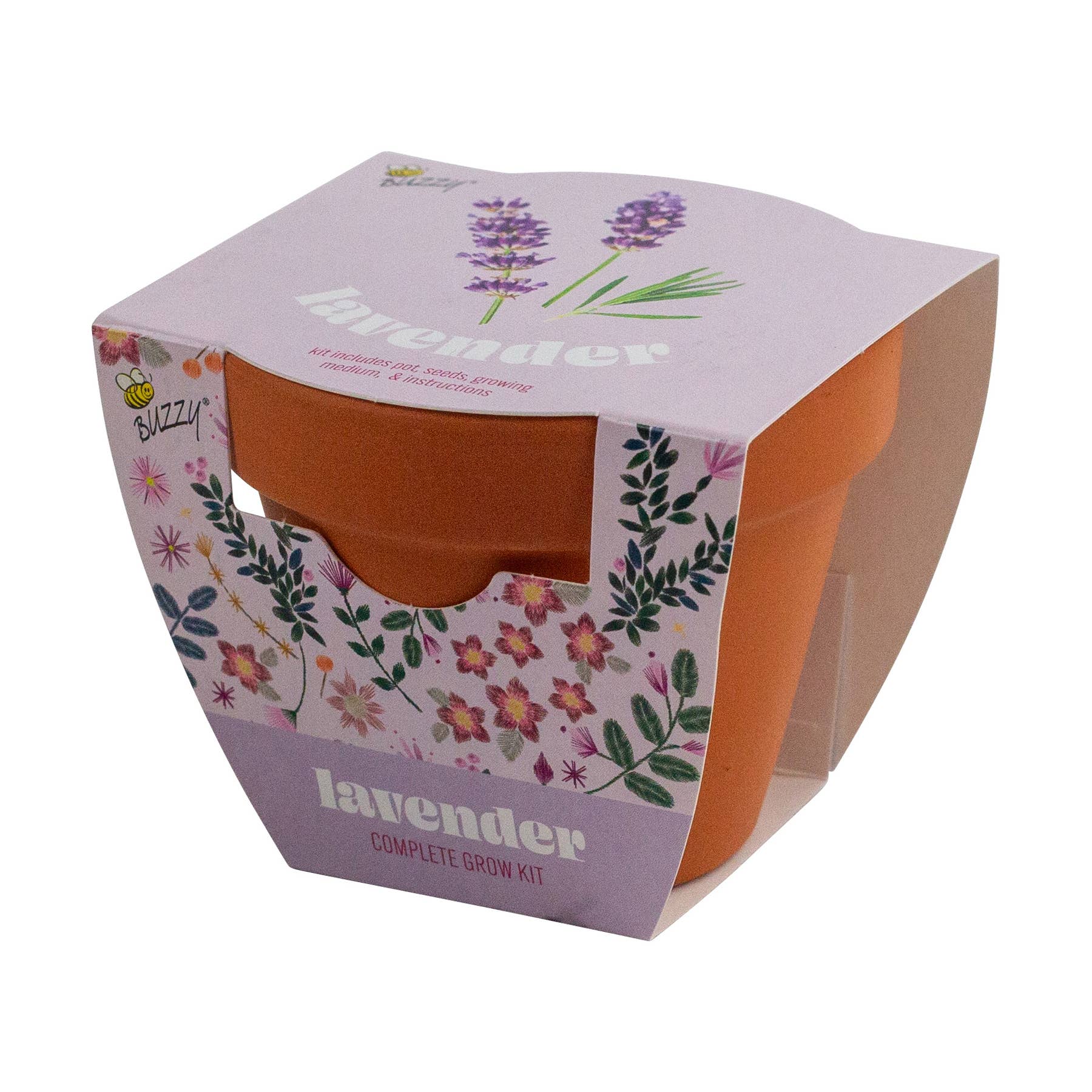 Buzzy Seeds Classic 7cm Terra Cotta Grow Kit - Lavender - Image 4
