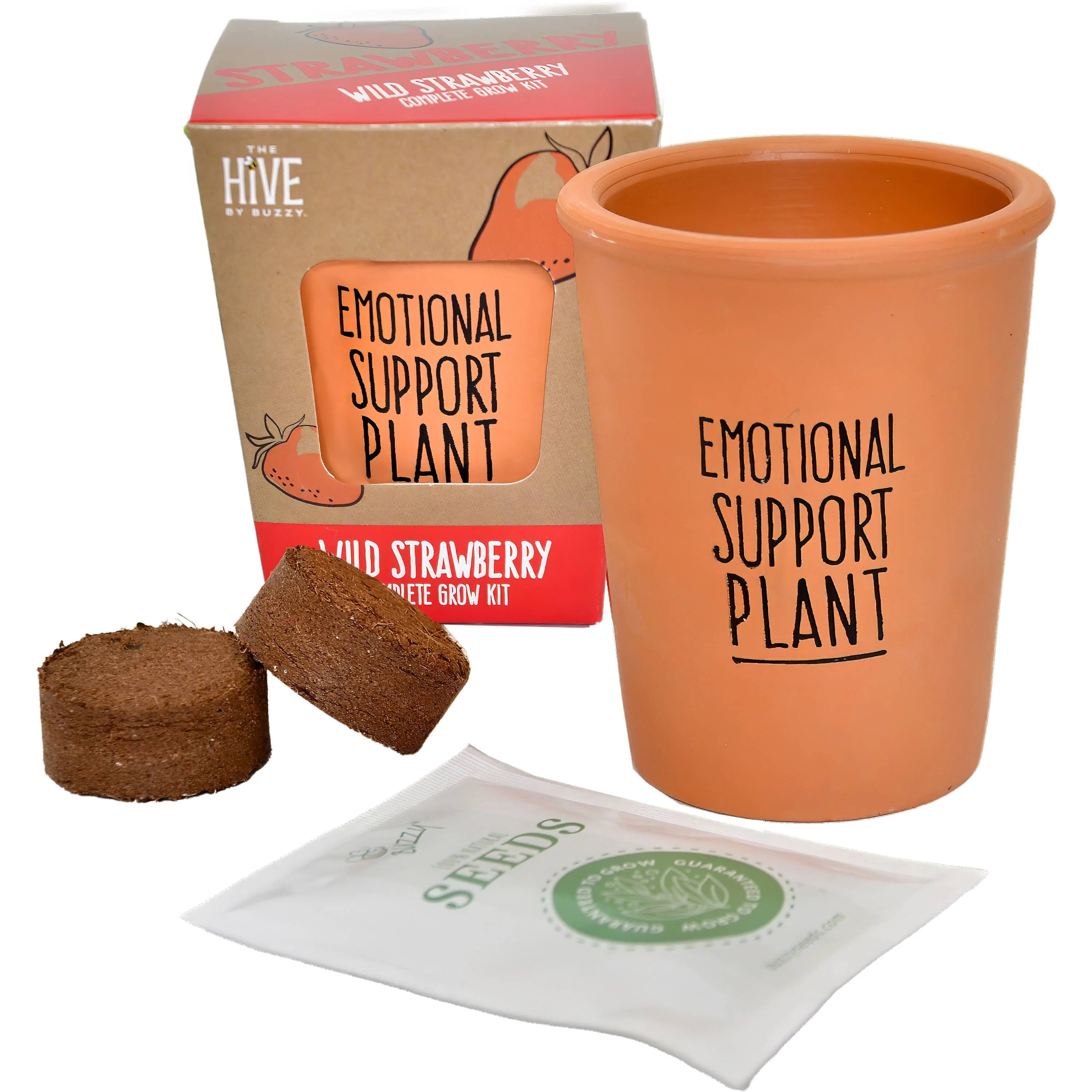 Inspirational Grow Kit - Wild Strawberry - Image 2