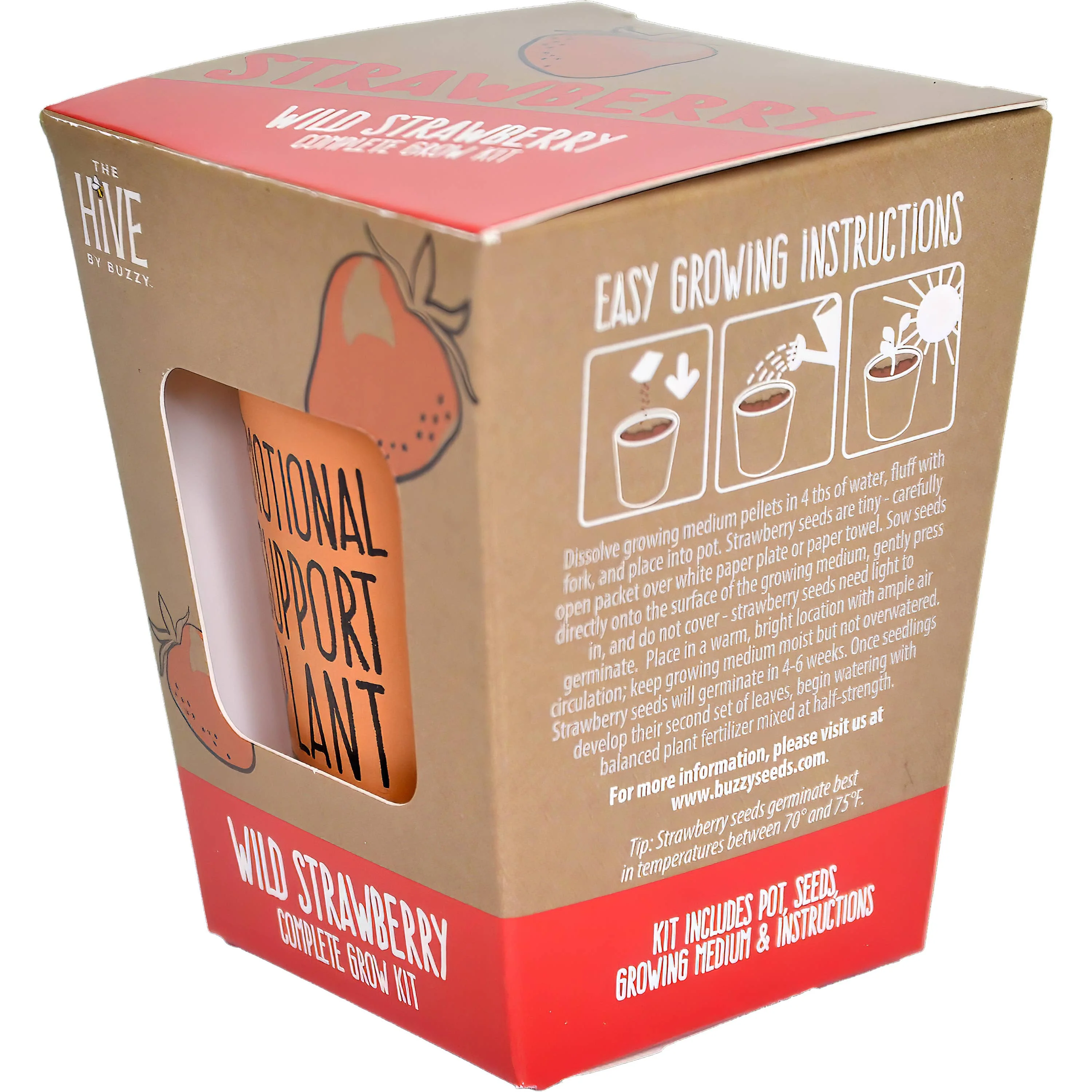 Inspirational Grow Kit - Wild Strawberry - Image 3
