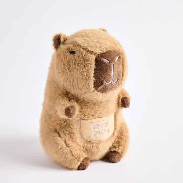 Barry the Capybara Tooth Fairy