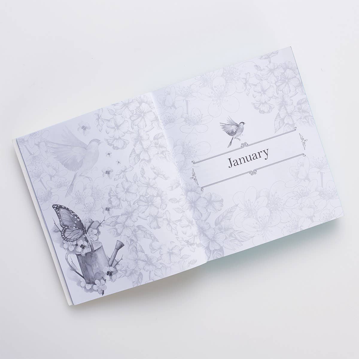 Coloring Devotional Illustrated Words Jesus for Women - Image 6