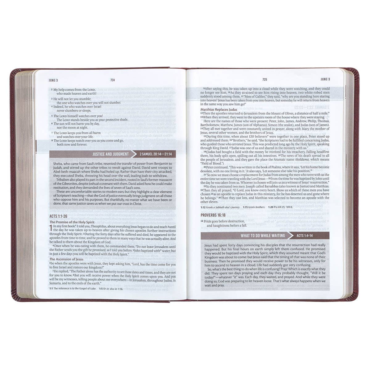 Christian Art Gifts - Devotional Bible NLT for Men Faux Leather, Saddle Tan - Image 3