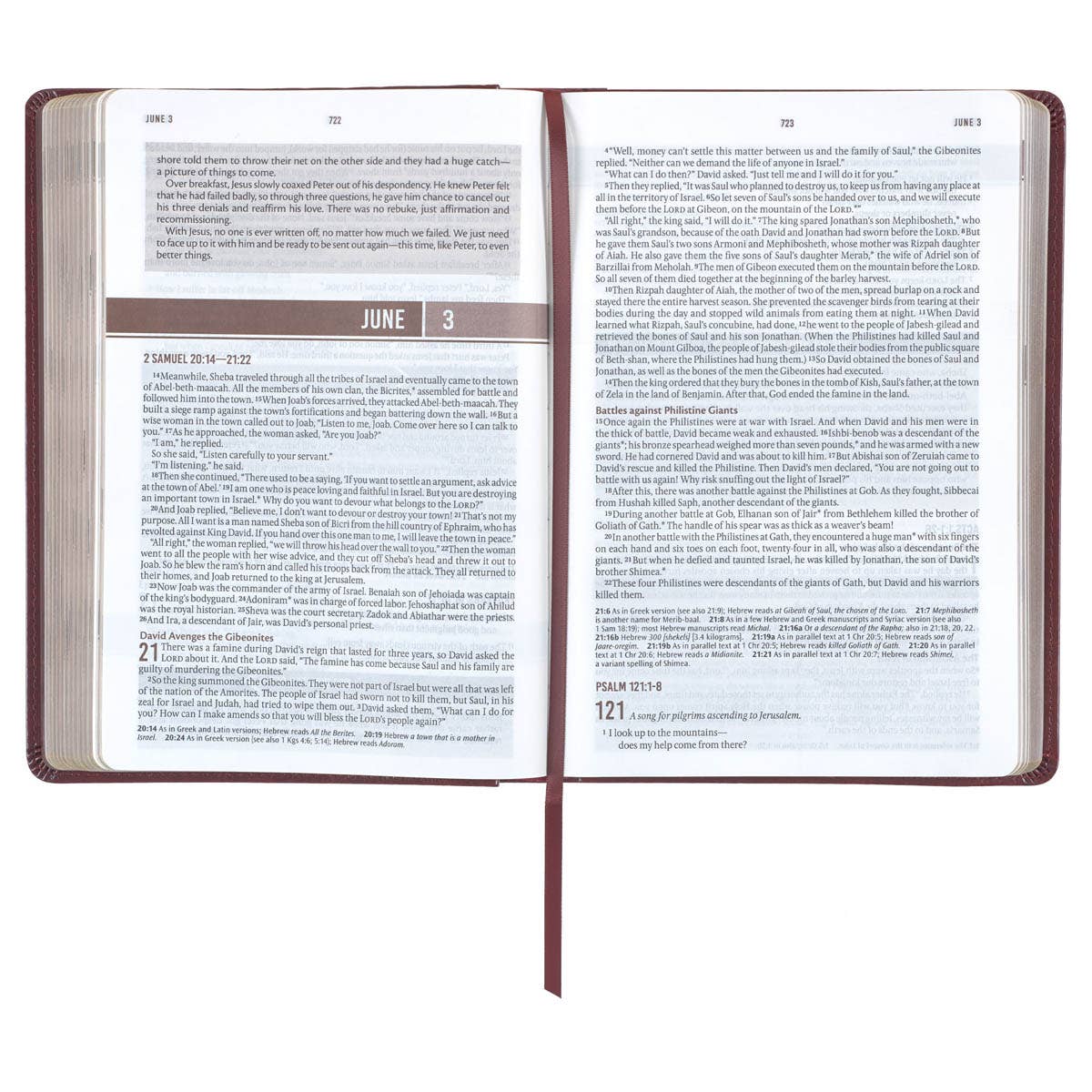 Christian Art Gifts - Devotional Bible NLT for Men Faux Leather, Saddle Tan - Image 4