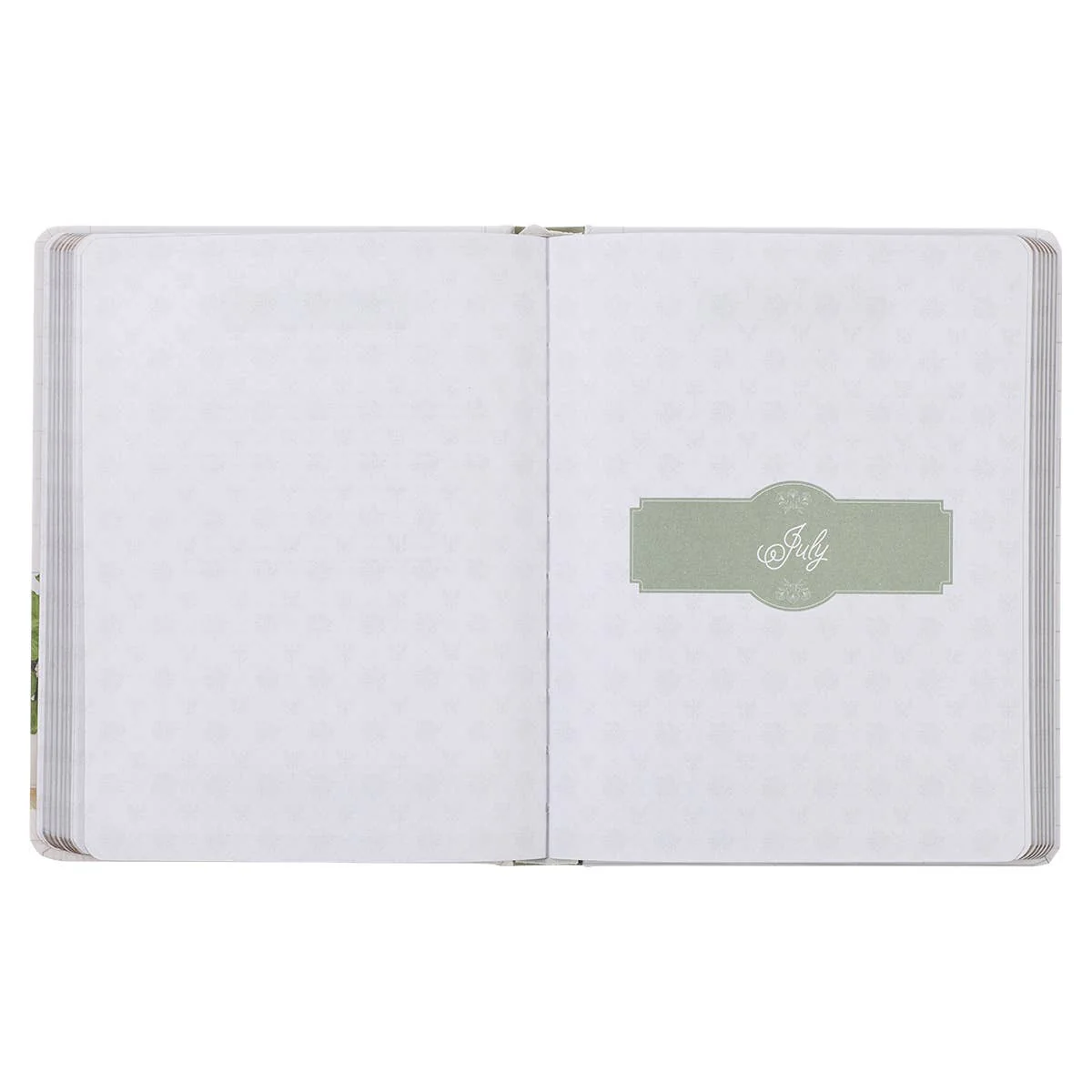 Devotional Daily Hope for a Woman's Heart Hardcover - Image 5