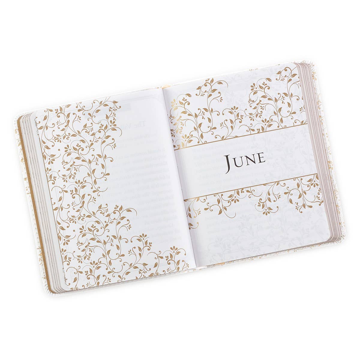 One-Minute Devotions Morning by Morning Faux Leather - Image 5
