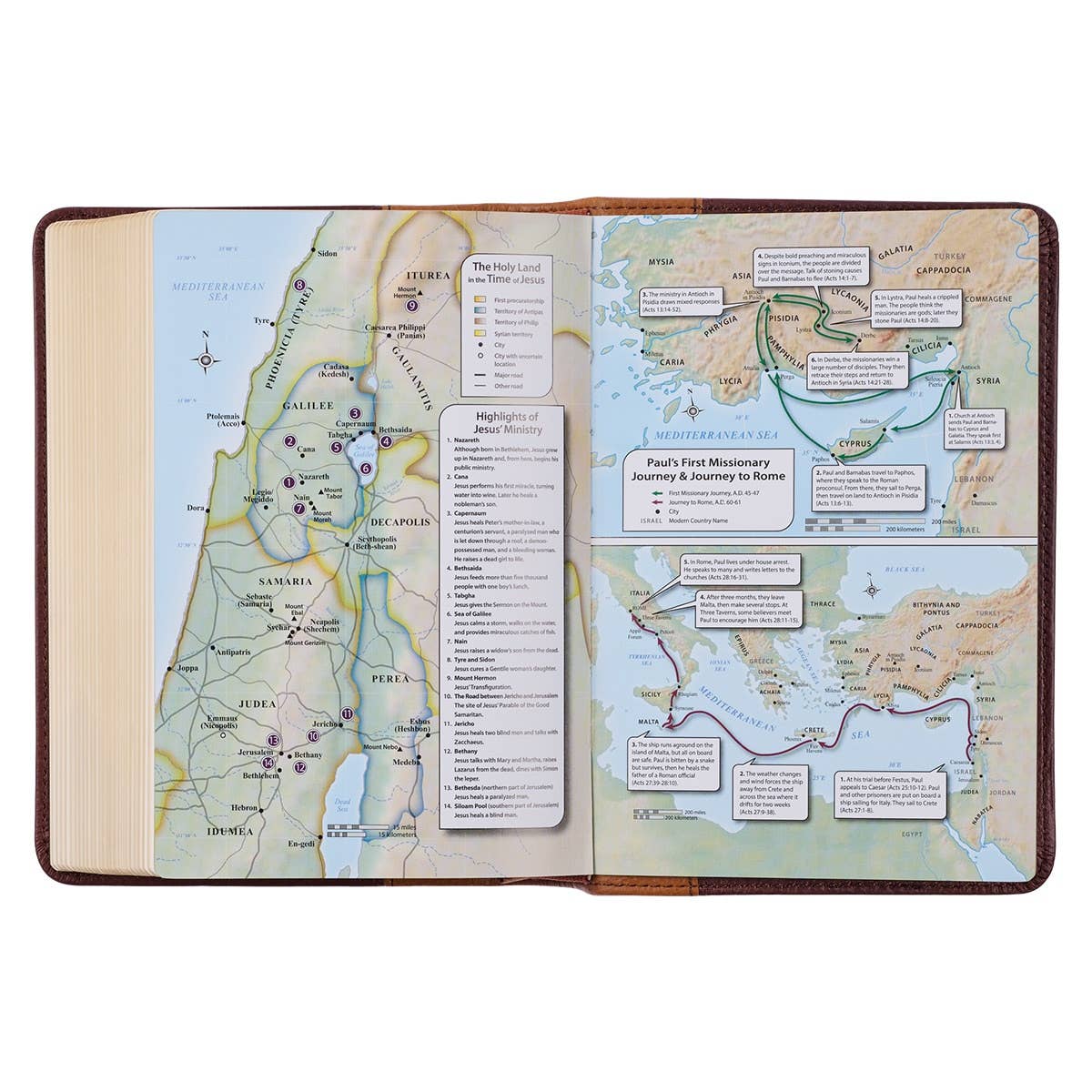 Saddle Tan and Butterscotch Large Print Compact KJV Bible - Image 3
