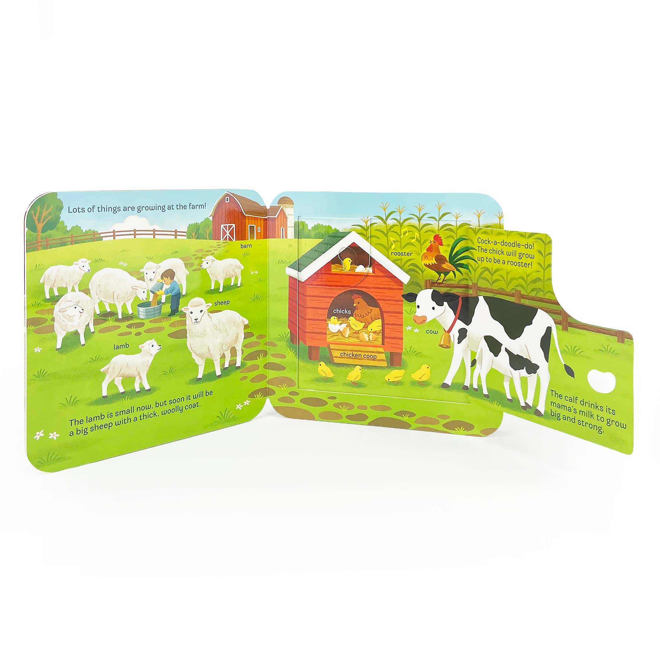 GROW Lift-a-Flap Board Book - Image 4