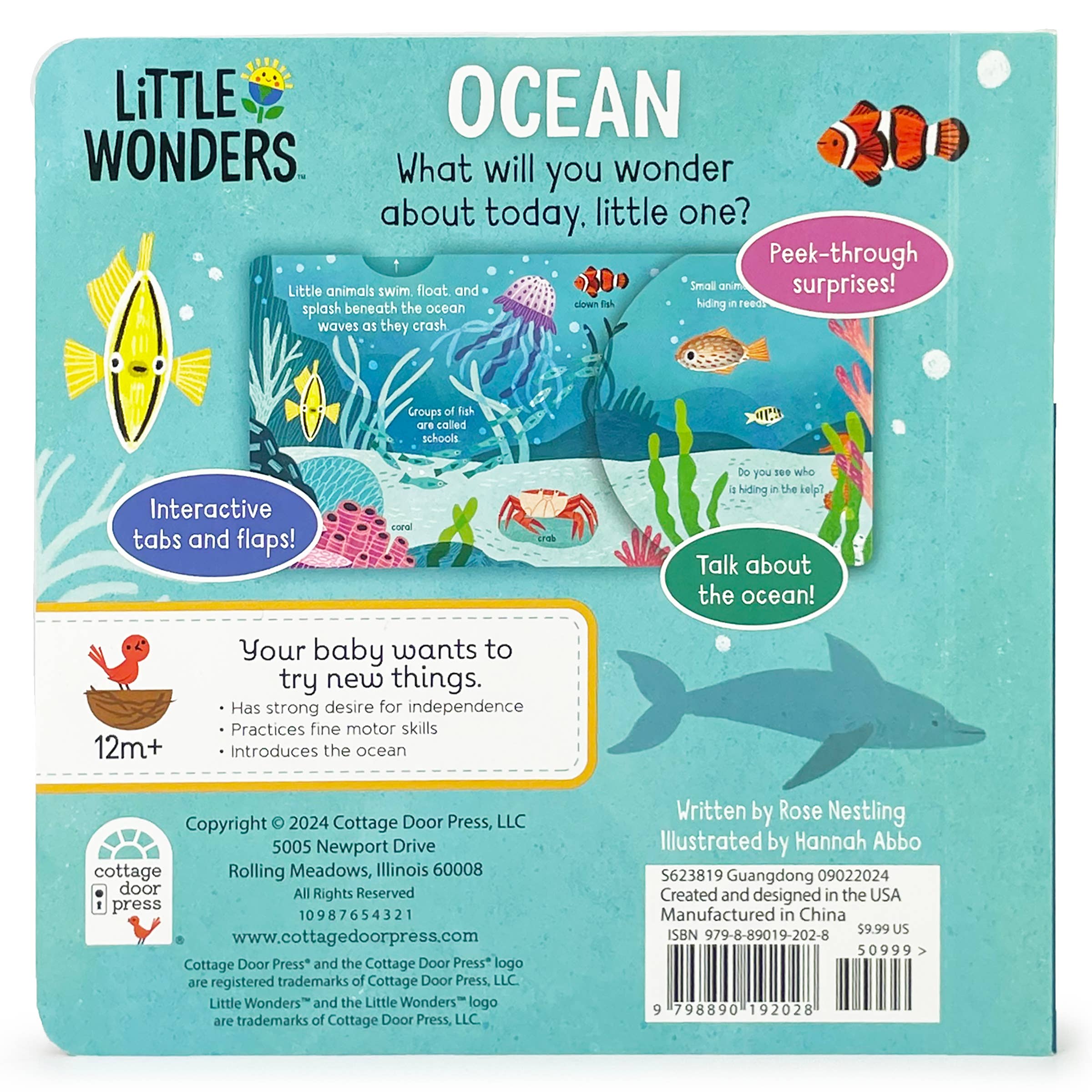Little Wonders: Ocean Interactive Board Book - Image 2