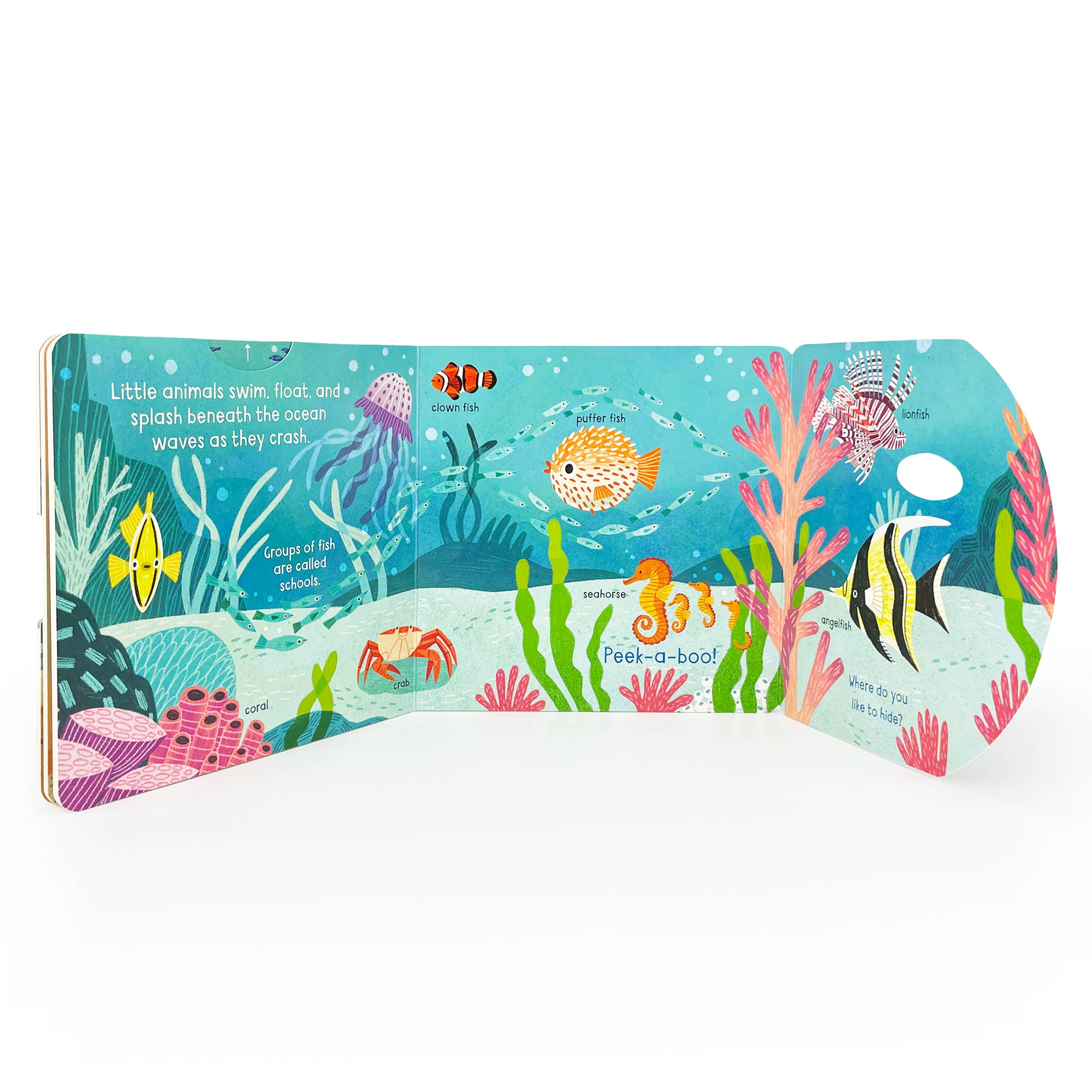Little Wonders: Ocean Interactive Board Book - Image 4