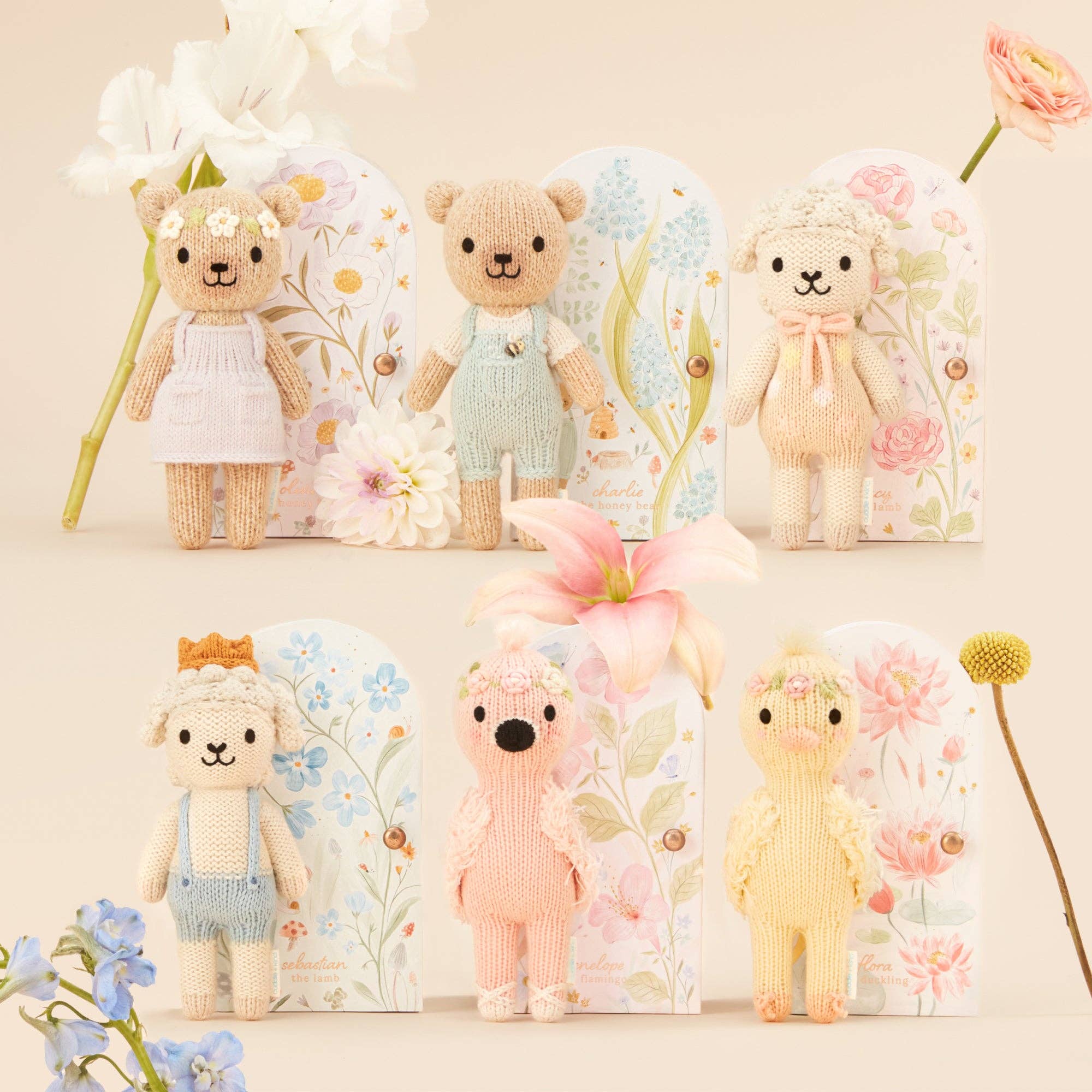 Tiny Charlie the honey bear, gives 10 meals - Image 10