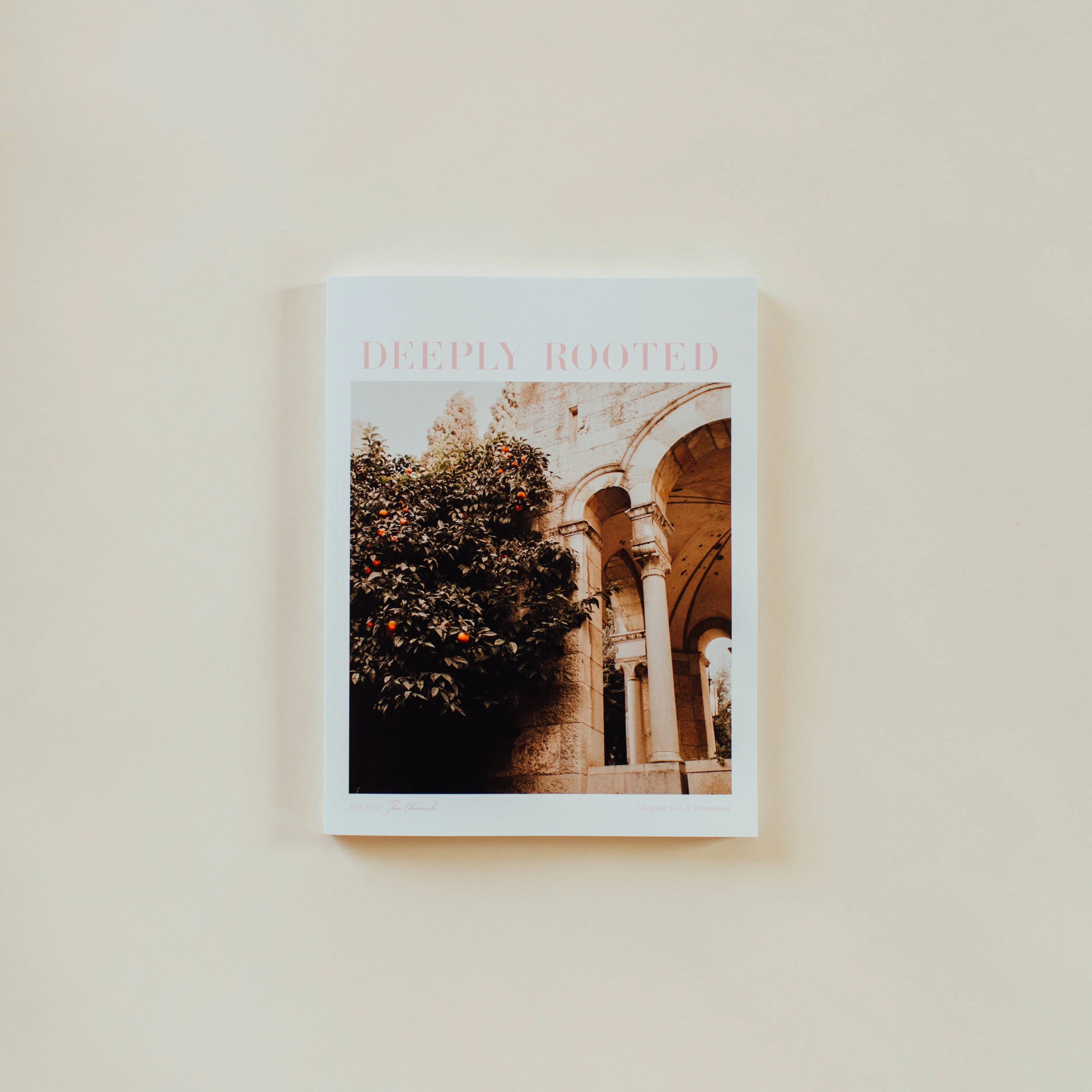 Deeply Rooted Issue 14: The Church