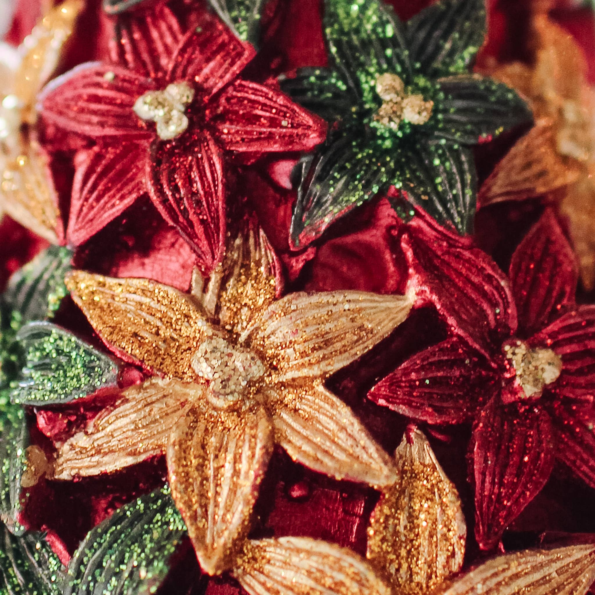 Stargazer Cone Tree (Trad. Red) - Image 3