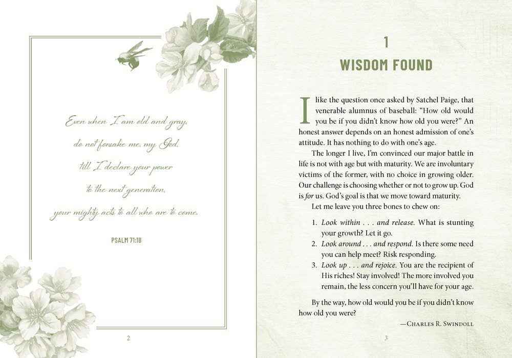 Devotions For Grandmas - Image 2