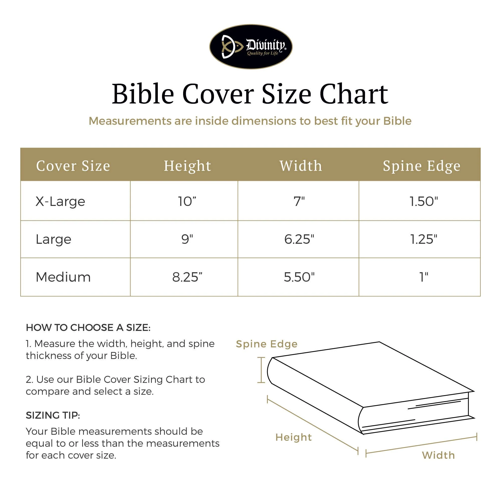 Divinity Boutique - Bible Cover: For We Are - Image 7