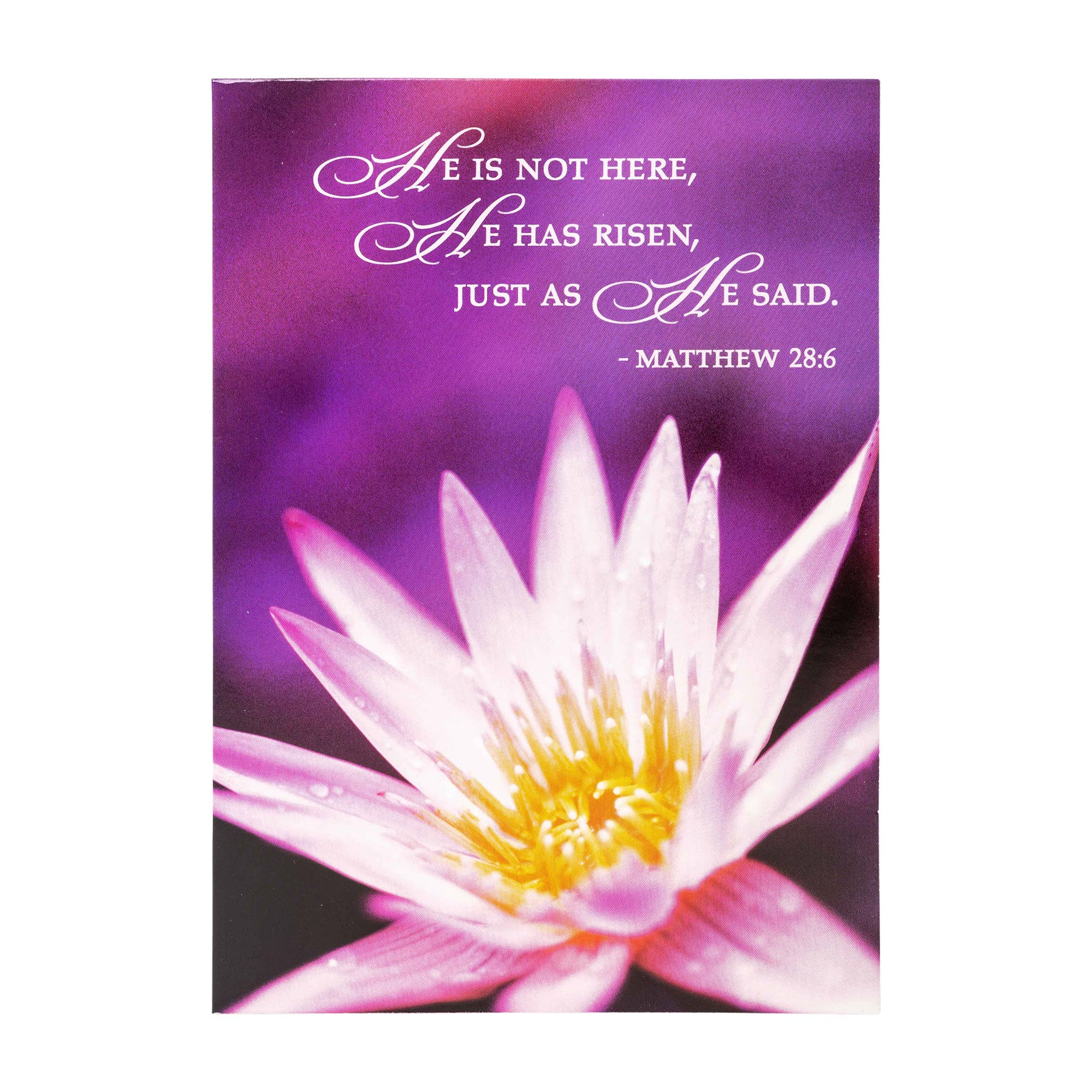 Divinity Boutique - Boxed Cards: Easter, Spring Flowers - Image 11