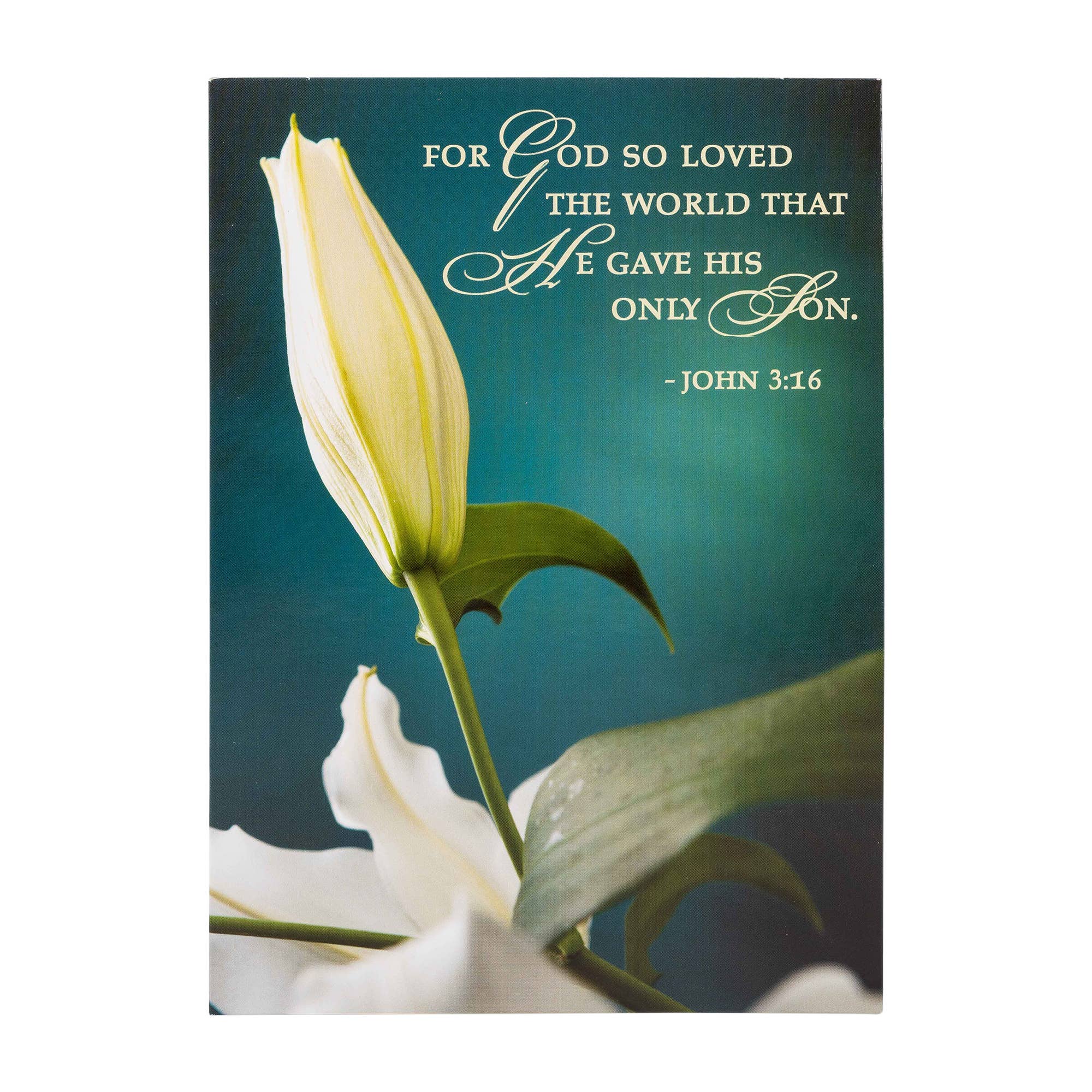Divinity Boutique - Boxed Cards: Easter, Spring Flowers - Image 15