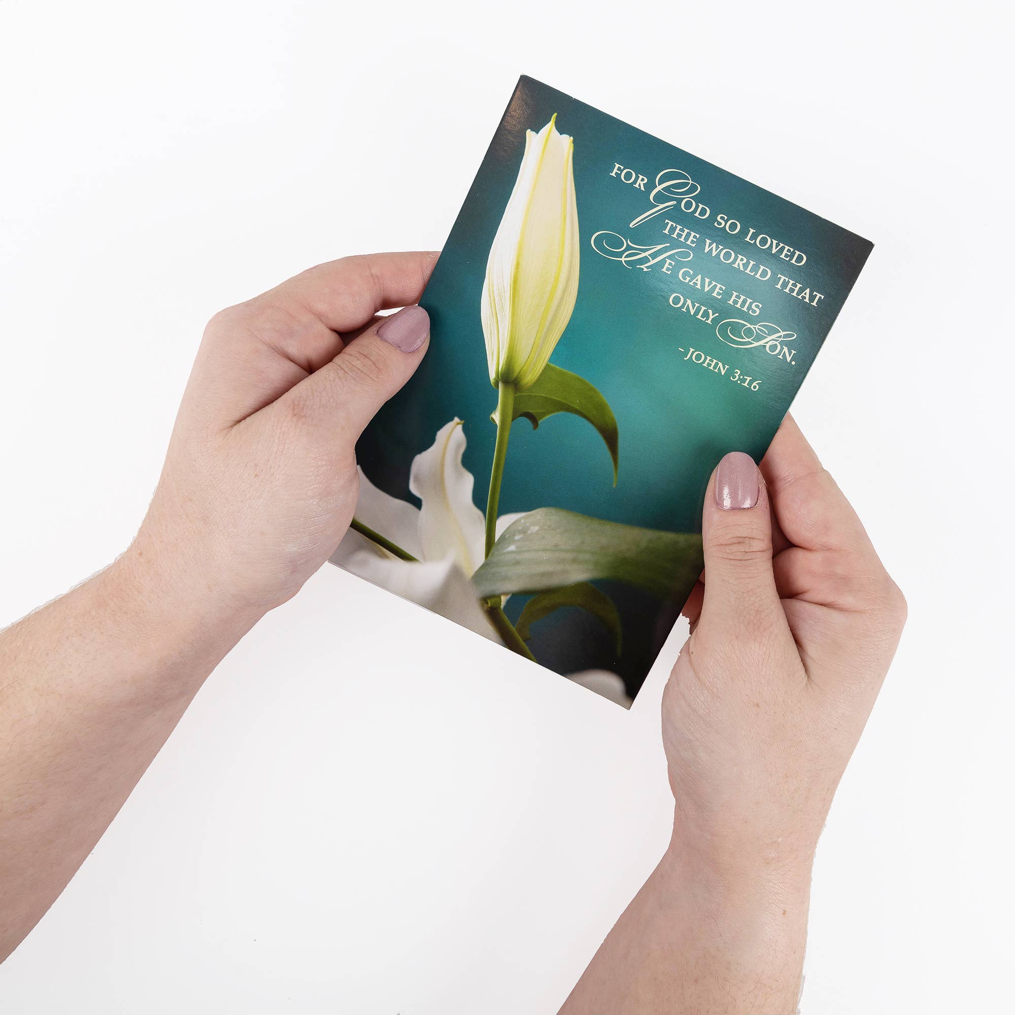 Divinity Boutique - Boxed Cards: Easter, Spring Flowers - Image 18