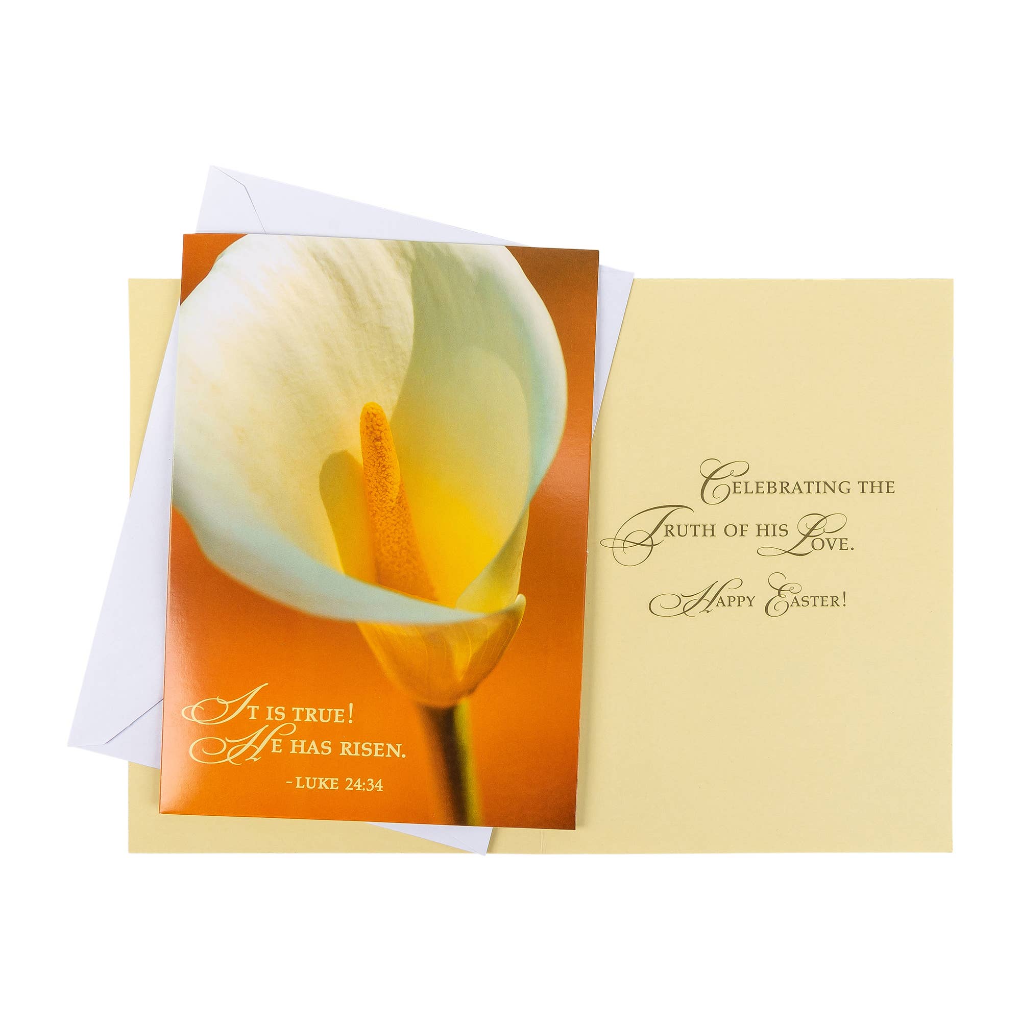 Divinity Boutique - Boxed Cards: Easter, Spring Flowers - Image 8