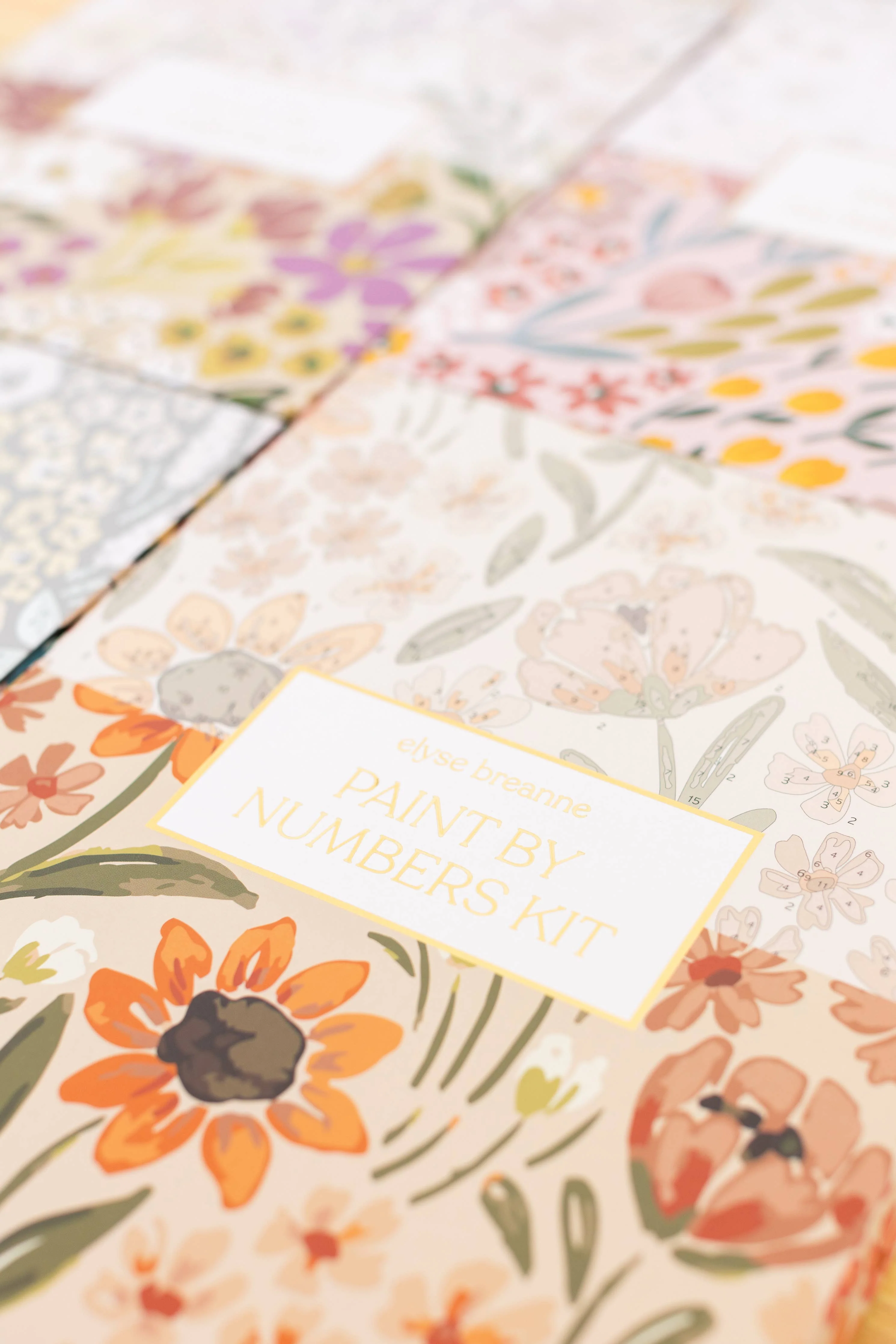Elyse Breanne Design - Sunny Poppies Paint By Number Kit - Image 4