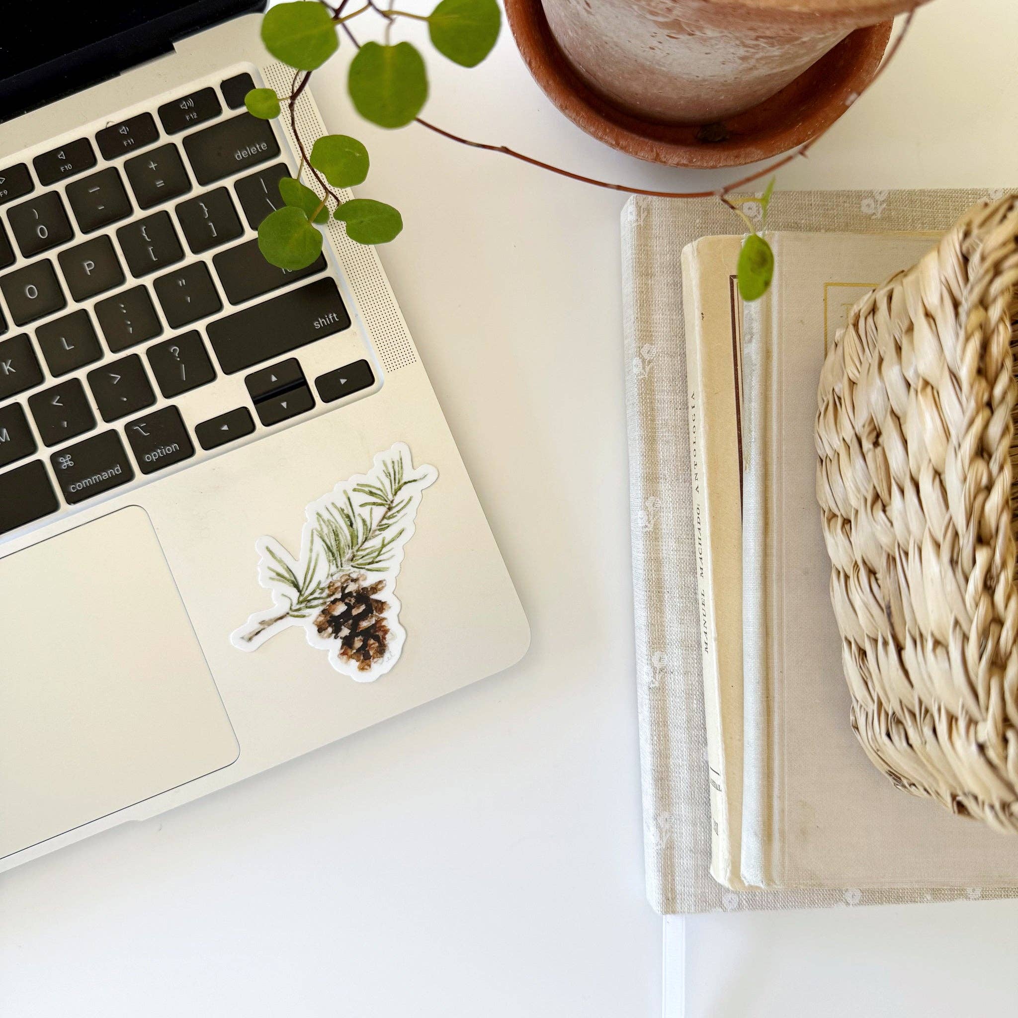 Pinecone Sticker - Image 2