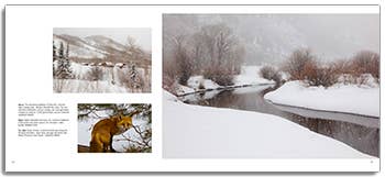 Colorado: A Photographic Journey - Image 3